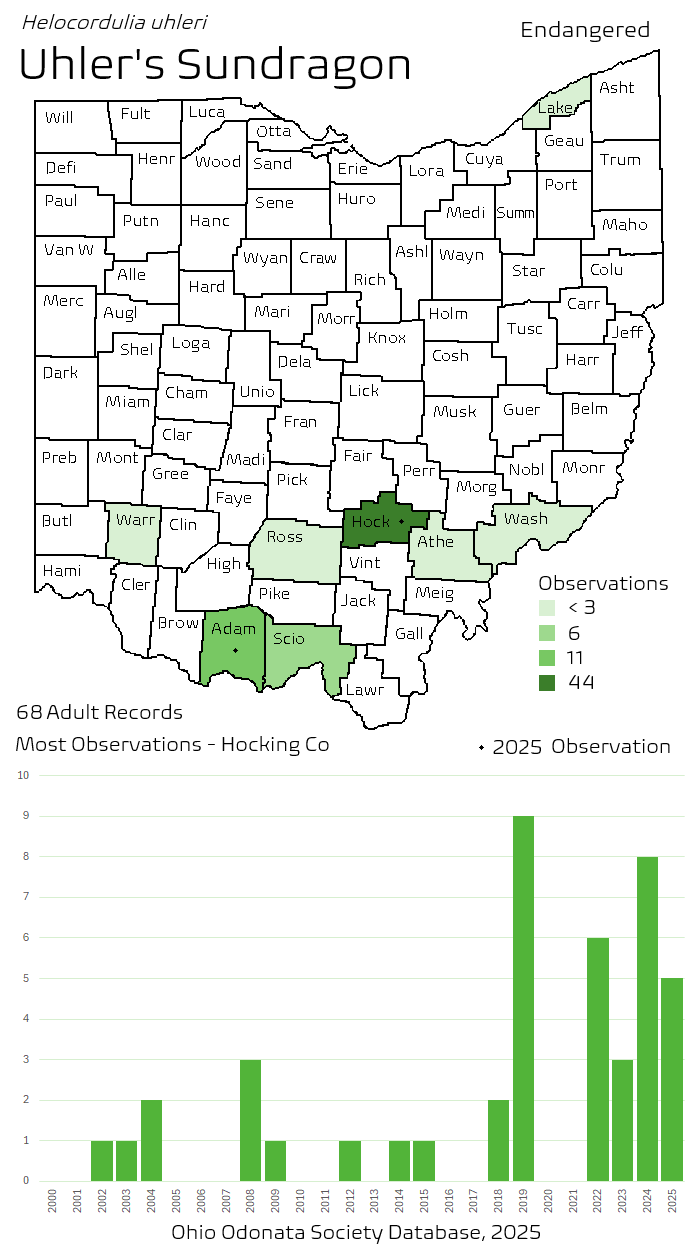 uhlers sundragon.png