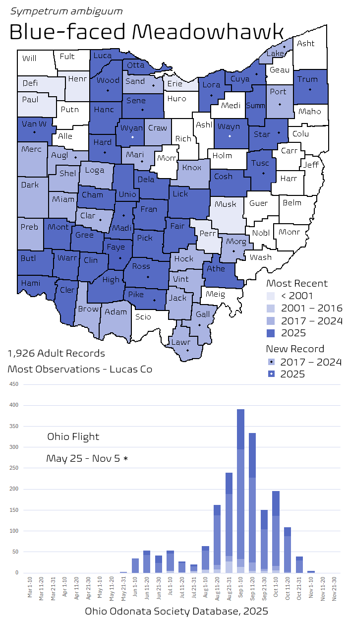 Blue-faced Meadowhawk.png