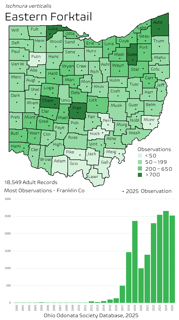 eastern forktail.png