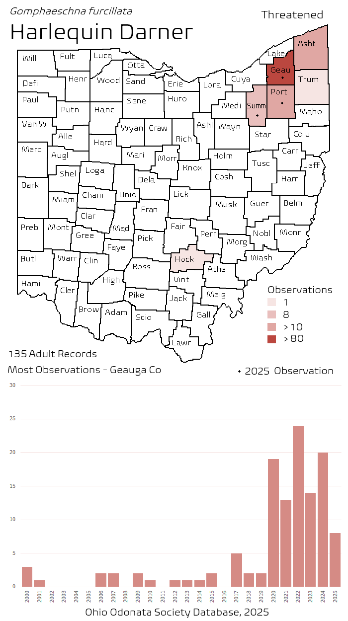 harlequin darner.png