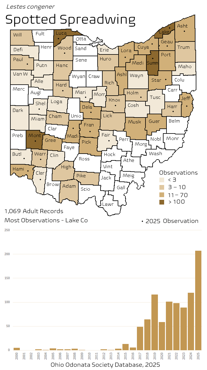 spotted spreadwing.png