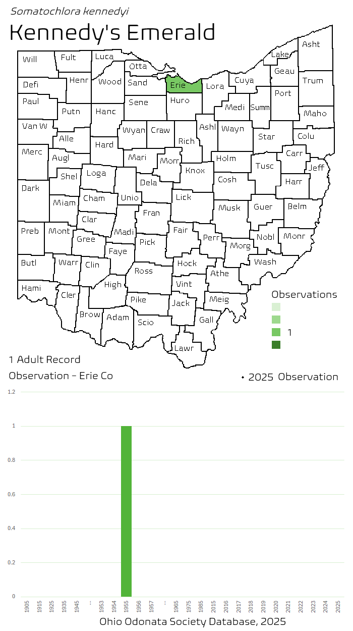 kennedys emerald.png