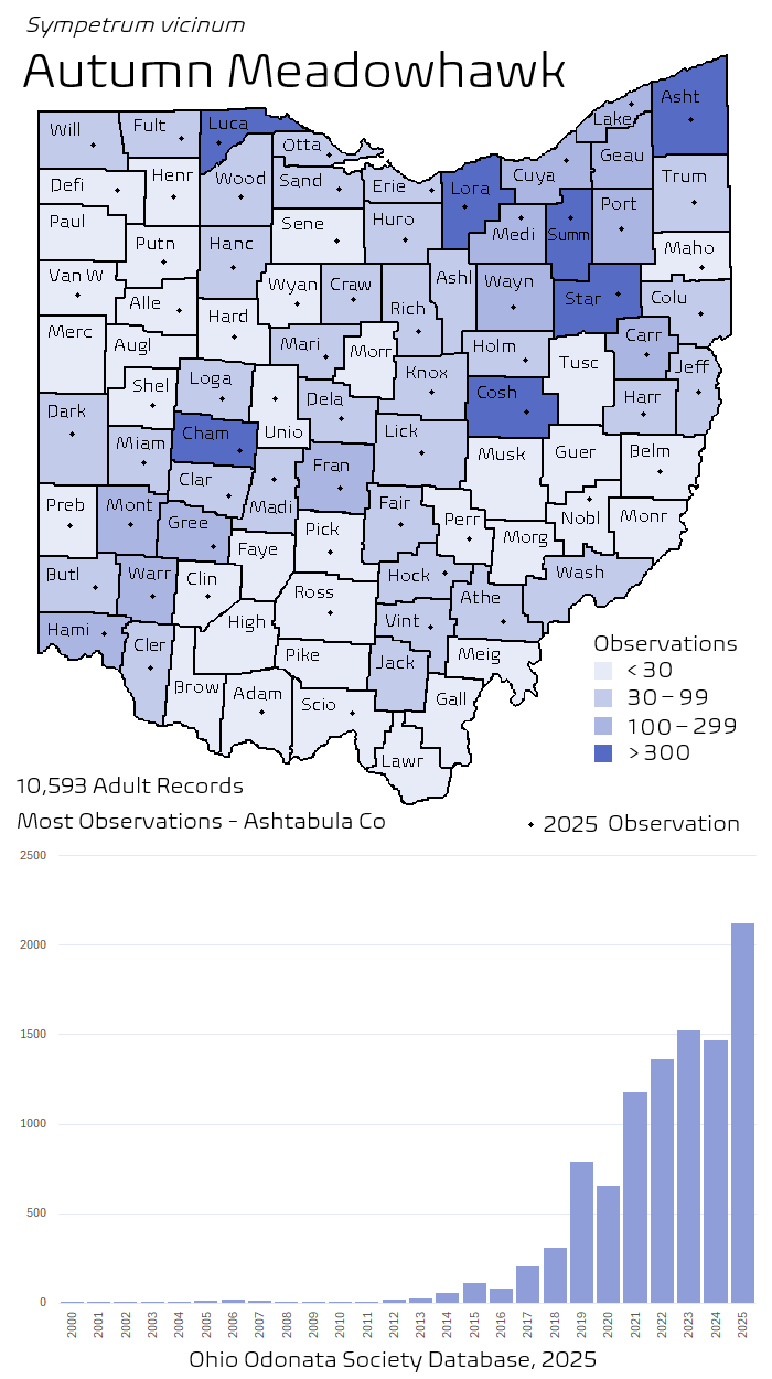 autumn meadowhawk.png