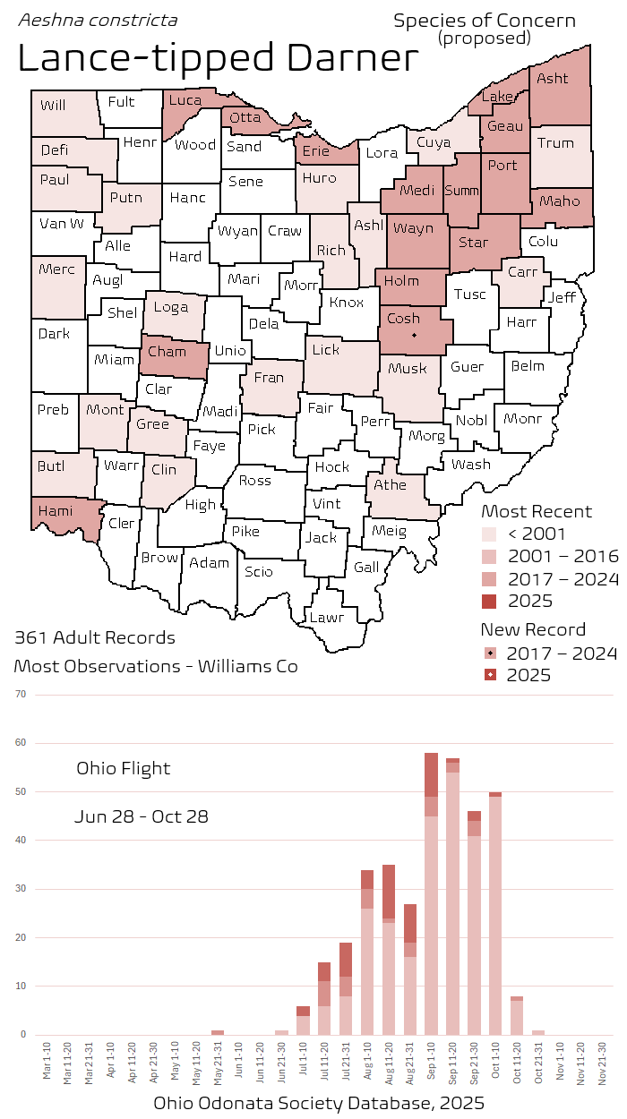 Lance-tipped Darner.png