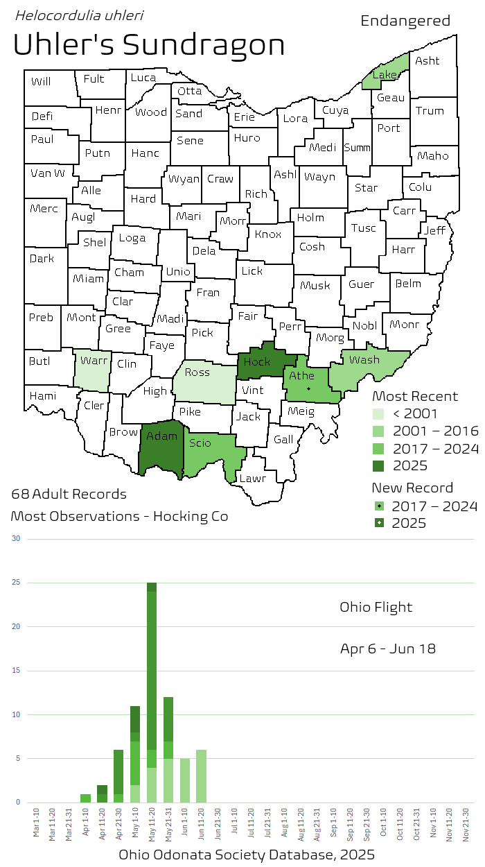 Uhlers Sundragon.png