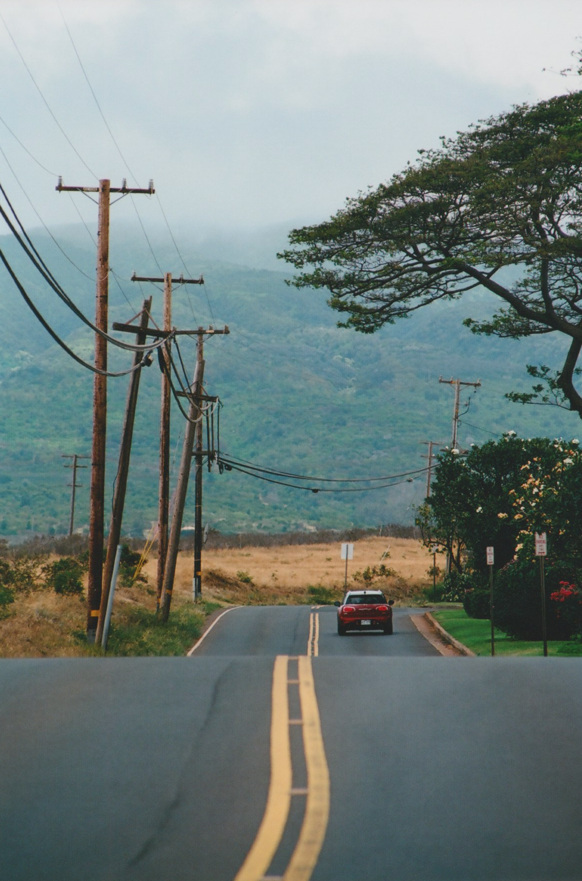 Screen Shot 2022-05-06 at 4.31.01 PM.png