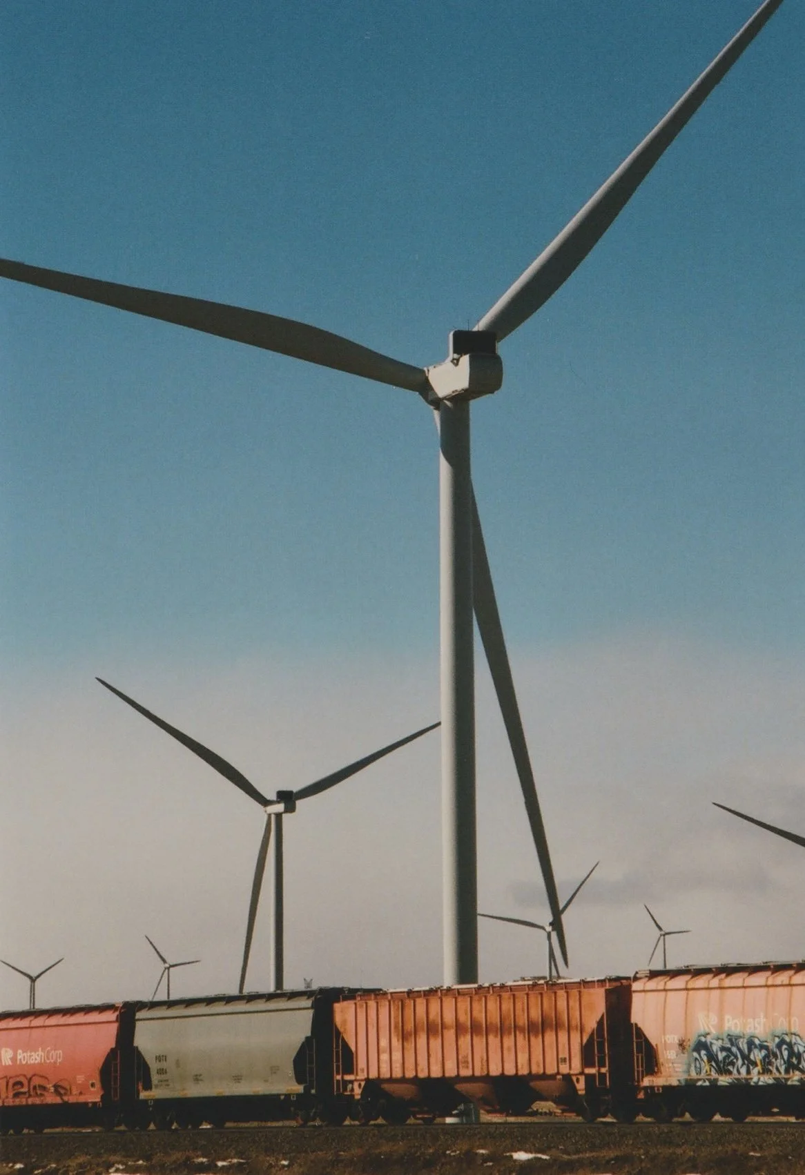 Screen Shot 2022-03-19 at 2.04.23 PM.jpg