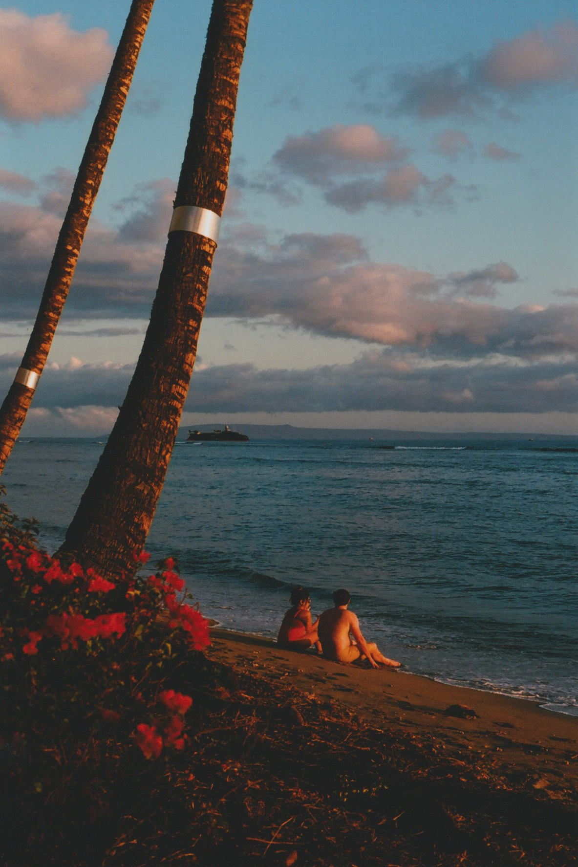 Screen Shot 2022-05-06 at 4.32.16 PM.png