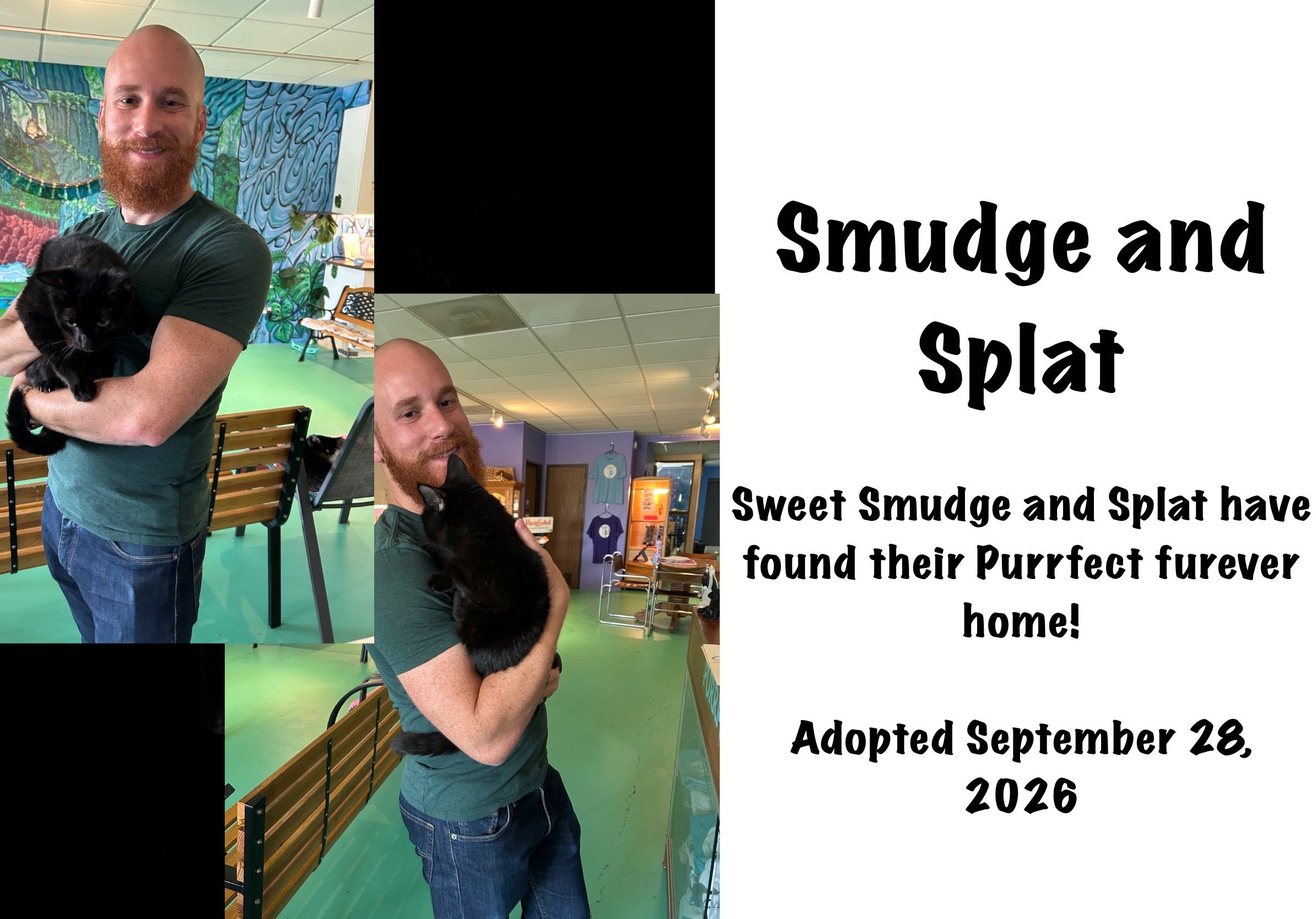 ADOPTION_PHOTO_TEMPLATE.JPEG