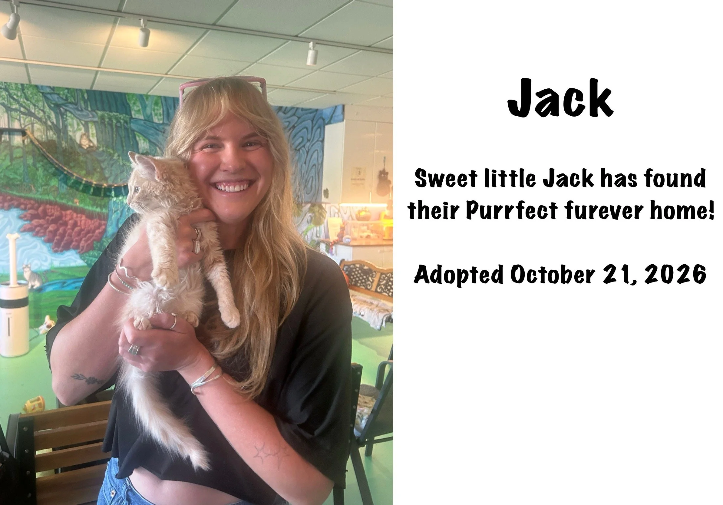 ADOPTION_PHOTO_TEMPLATE.JPEG
