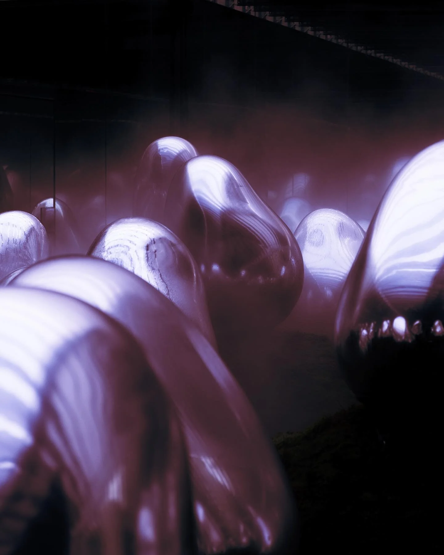 CLOSE UP : ASIA

1 : Tokyo, Japan 01/23
2 : Siam Reap, Cambodia 03/23
3 : Ninh Binh, Vietnam 02/23

#doucmentaryphotography #southeastasiatravel #travelohotography #photographedocumentaire #photographevoyage #tokyophotography #siamreapphotos #cambodi