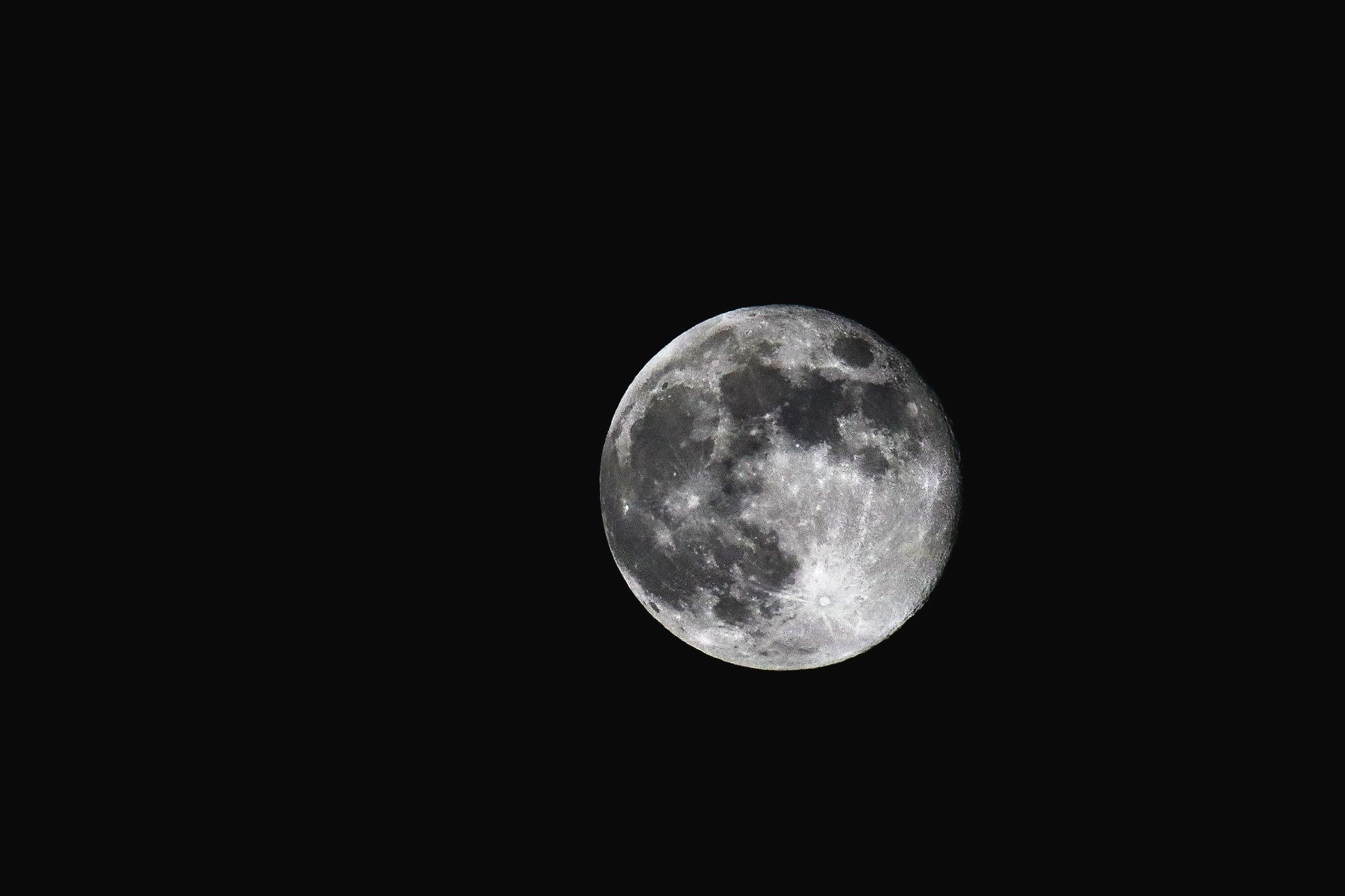 IMG_3486.jpg