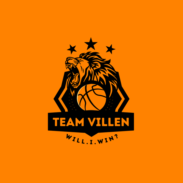 Team Villen logo