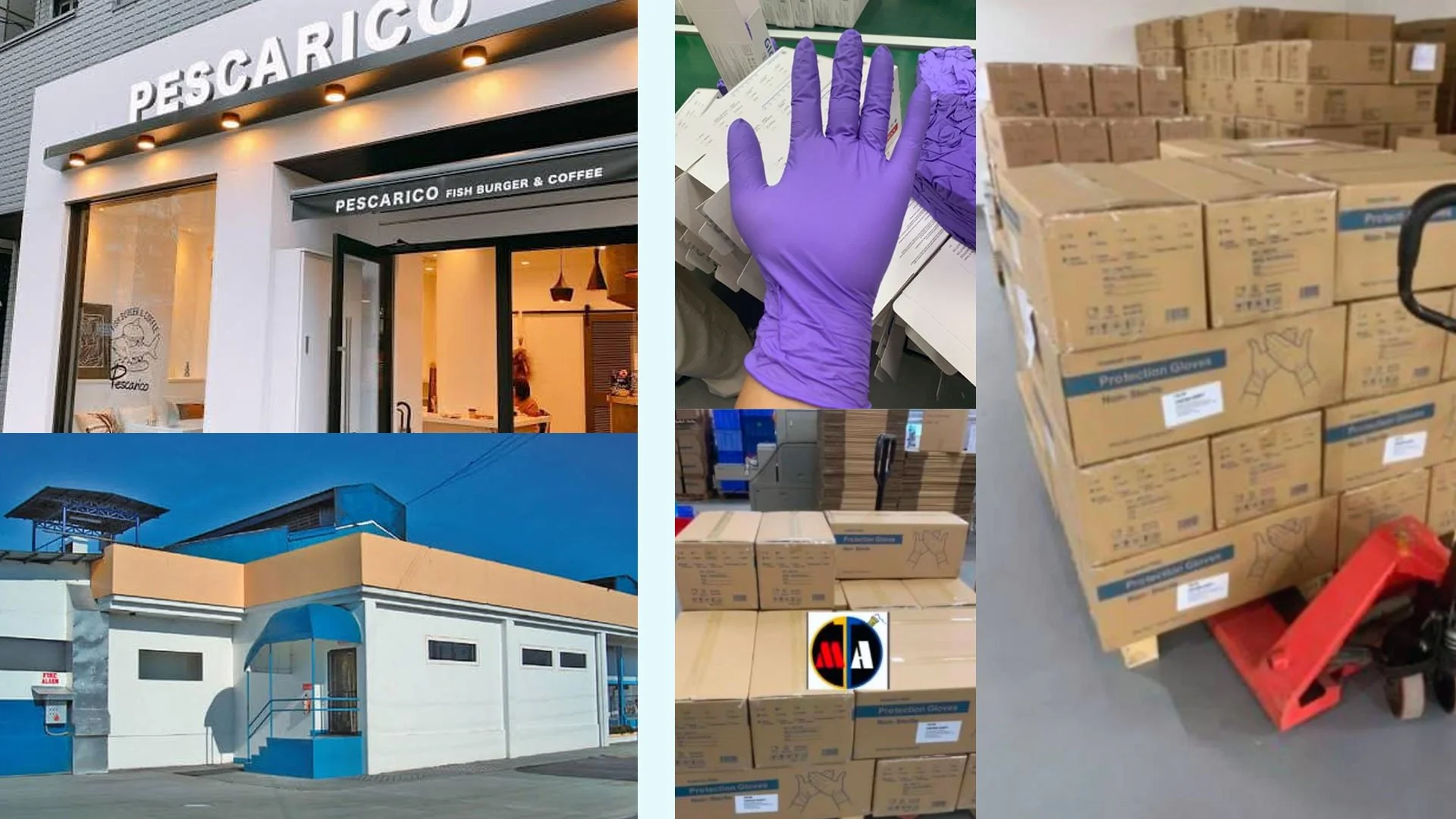 Supplied Zenith nitrile gloves to a leading Japanese Tuna processing plant in Mindanao and South Luzon.