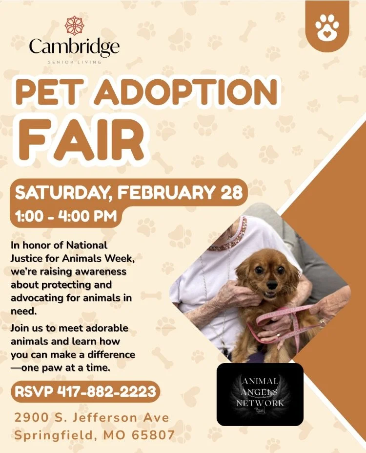 Adoption Event