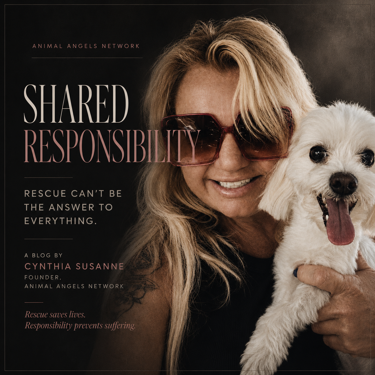 Shared Responsibility