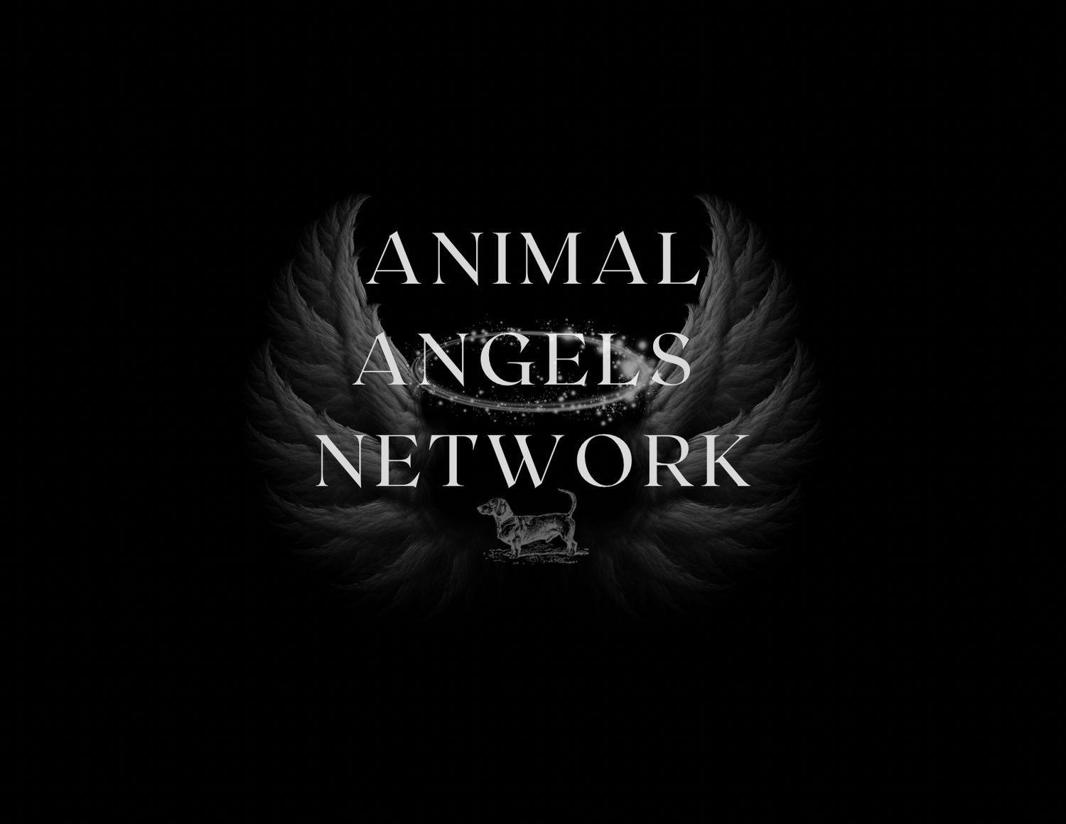 Animal Angels Network 