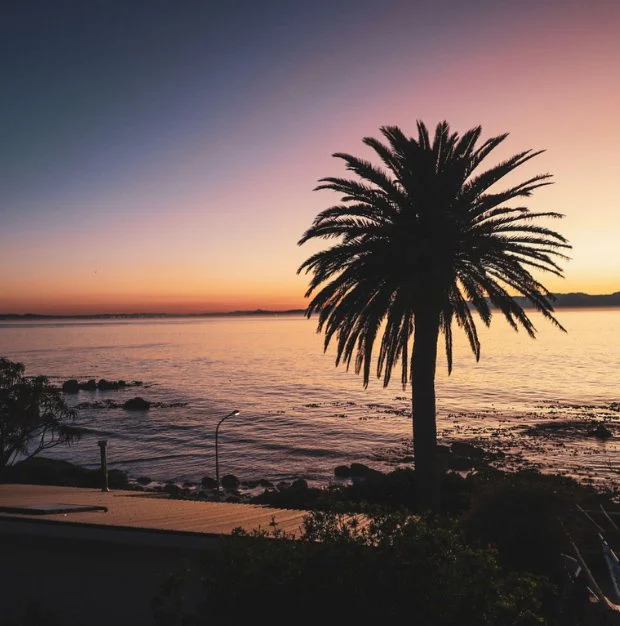 Palm Rock Rental Property Simonstown