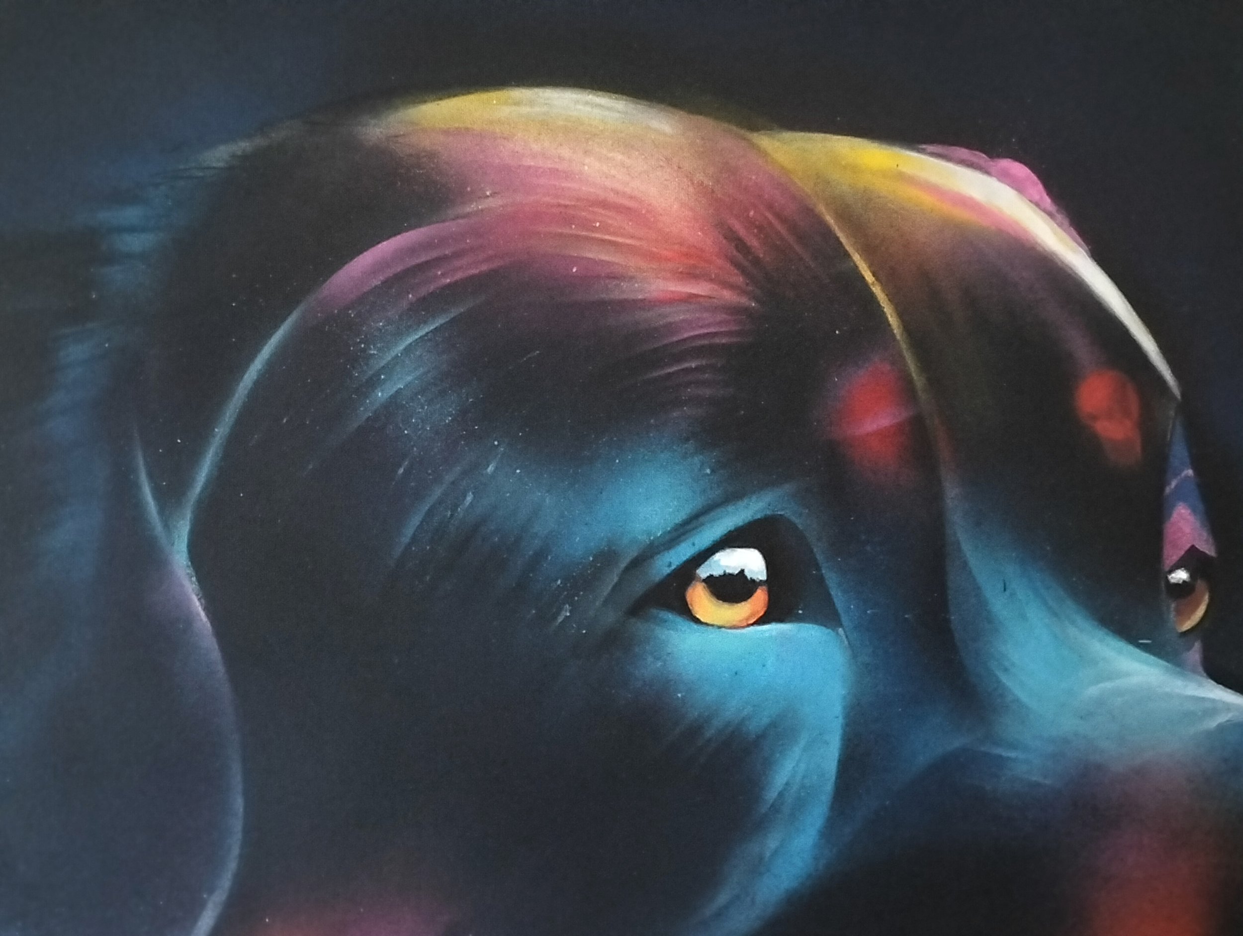 Rottweiller_Radiance_DetailTop_SillySullys_2024.jpeg