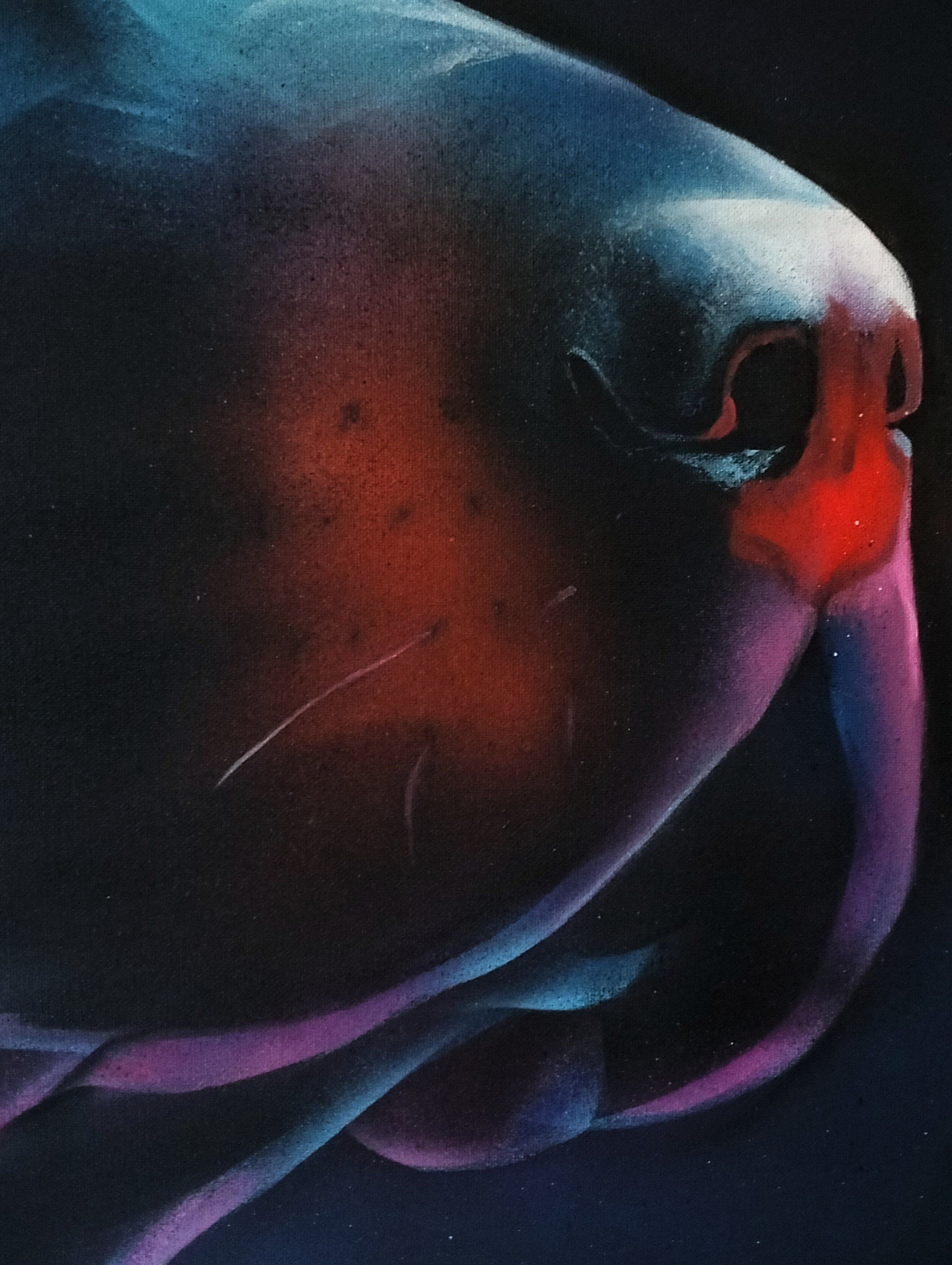 Rottweiller_Radiance_DetailNose_SillySullys_2024.jpeg