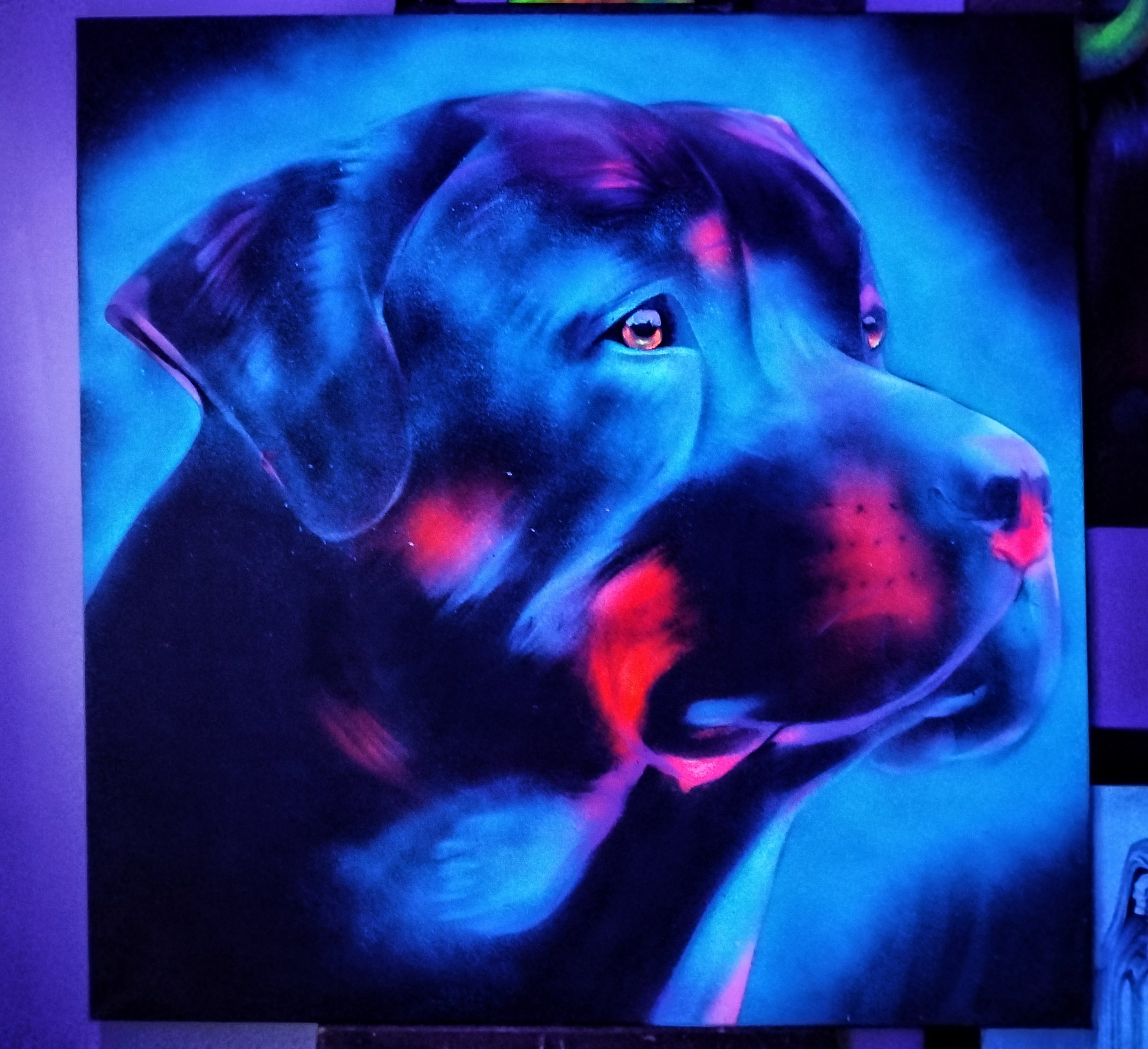 Rottweiller_Radiance_UV_SillySullys_2024.jpeg