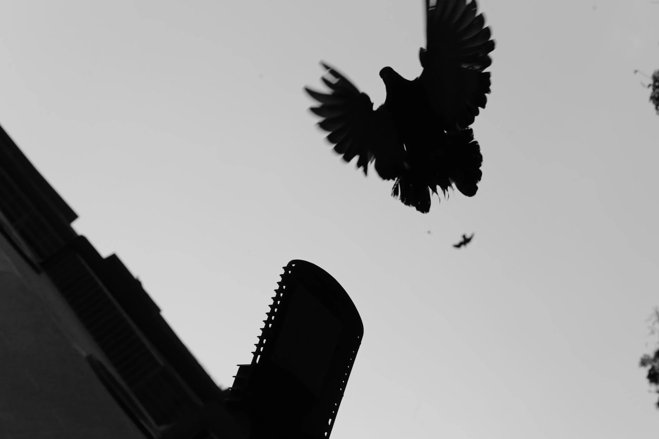 Abstract Photograph_mE 1.JPG
