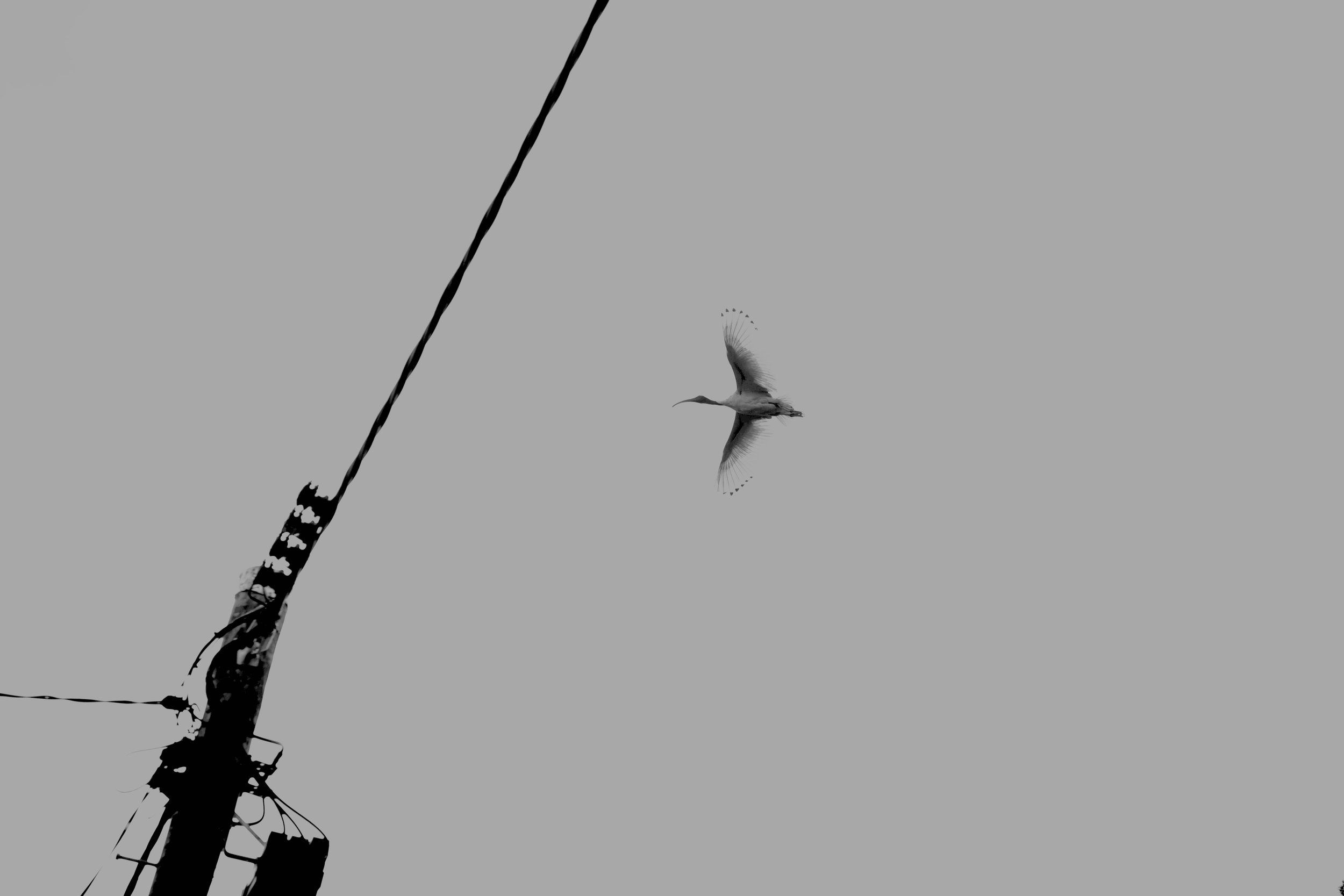 Abstract Photograph_mE 2.jpeg