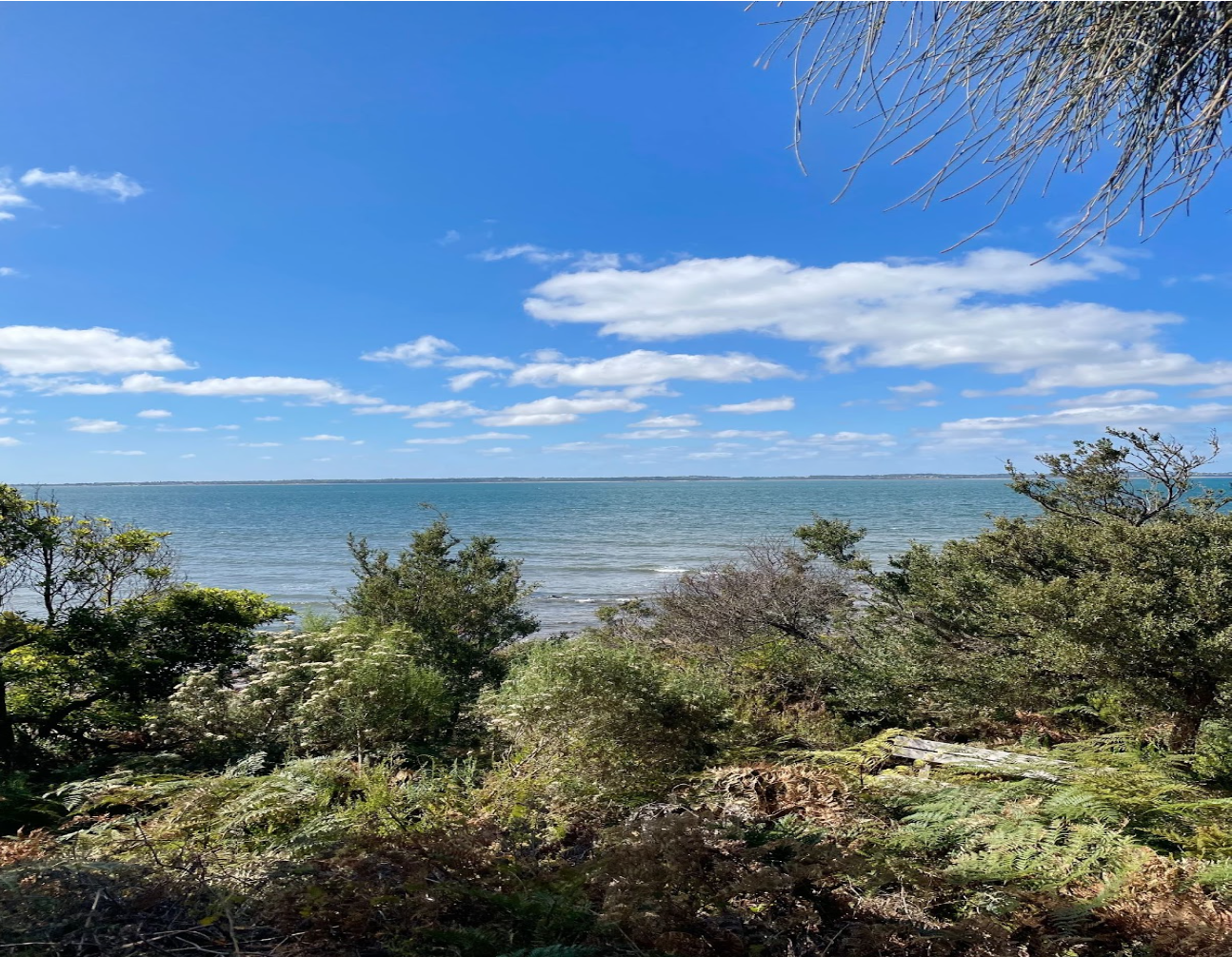 Nepean’s Redistribution