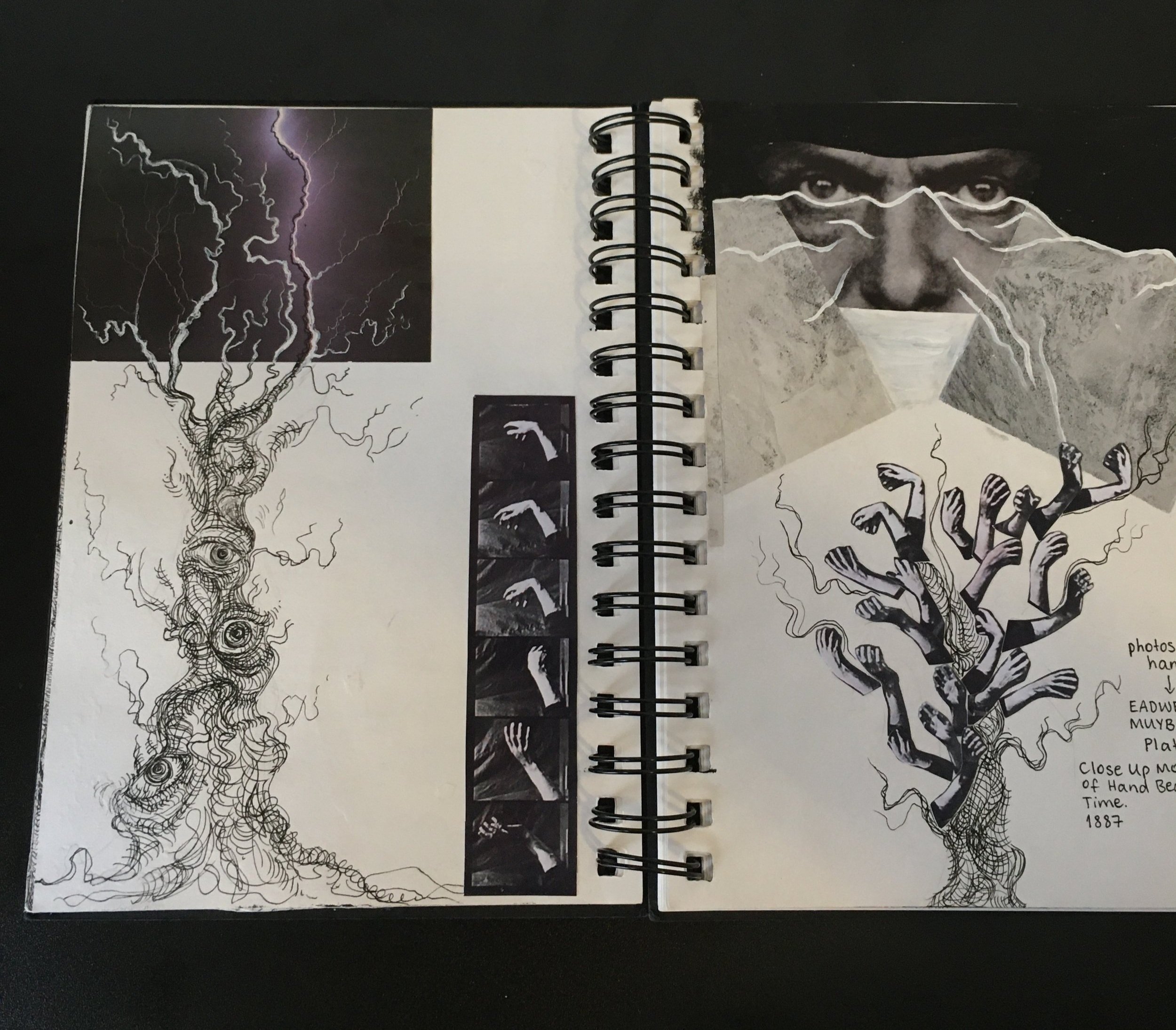 treesketchbook1.jpg