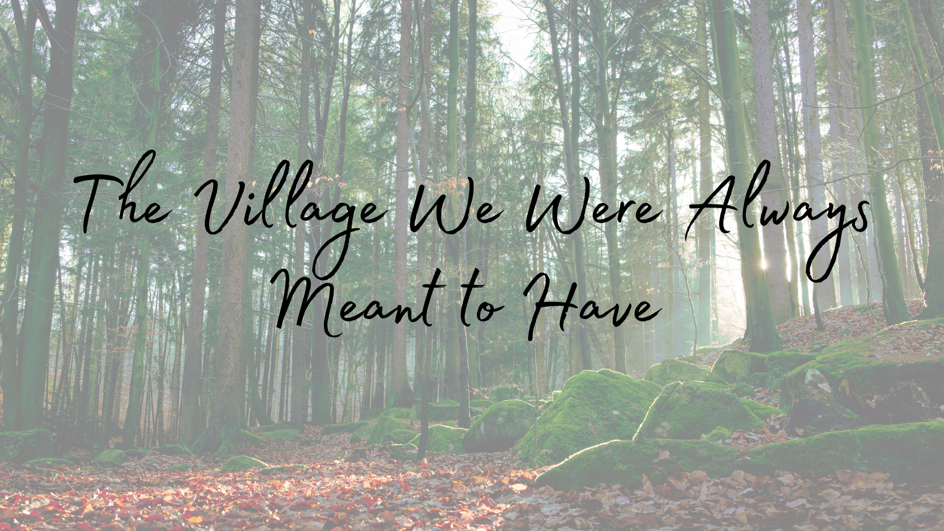 village, birth village, postpartum village, sister circles, village circles, community, michigan birthkeeper, michigan doula