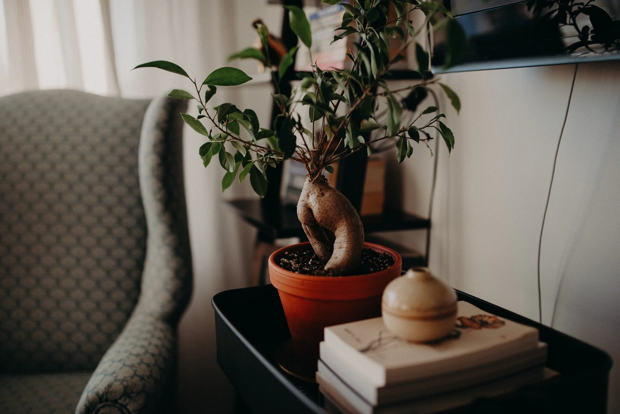 affiliate, mentor, childbirth education, preconception, cycle tracking, tempdrop, hearthmother journey, birth servant, birth worker, home birth, free birth, pregnancy, holistic living