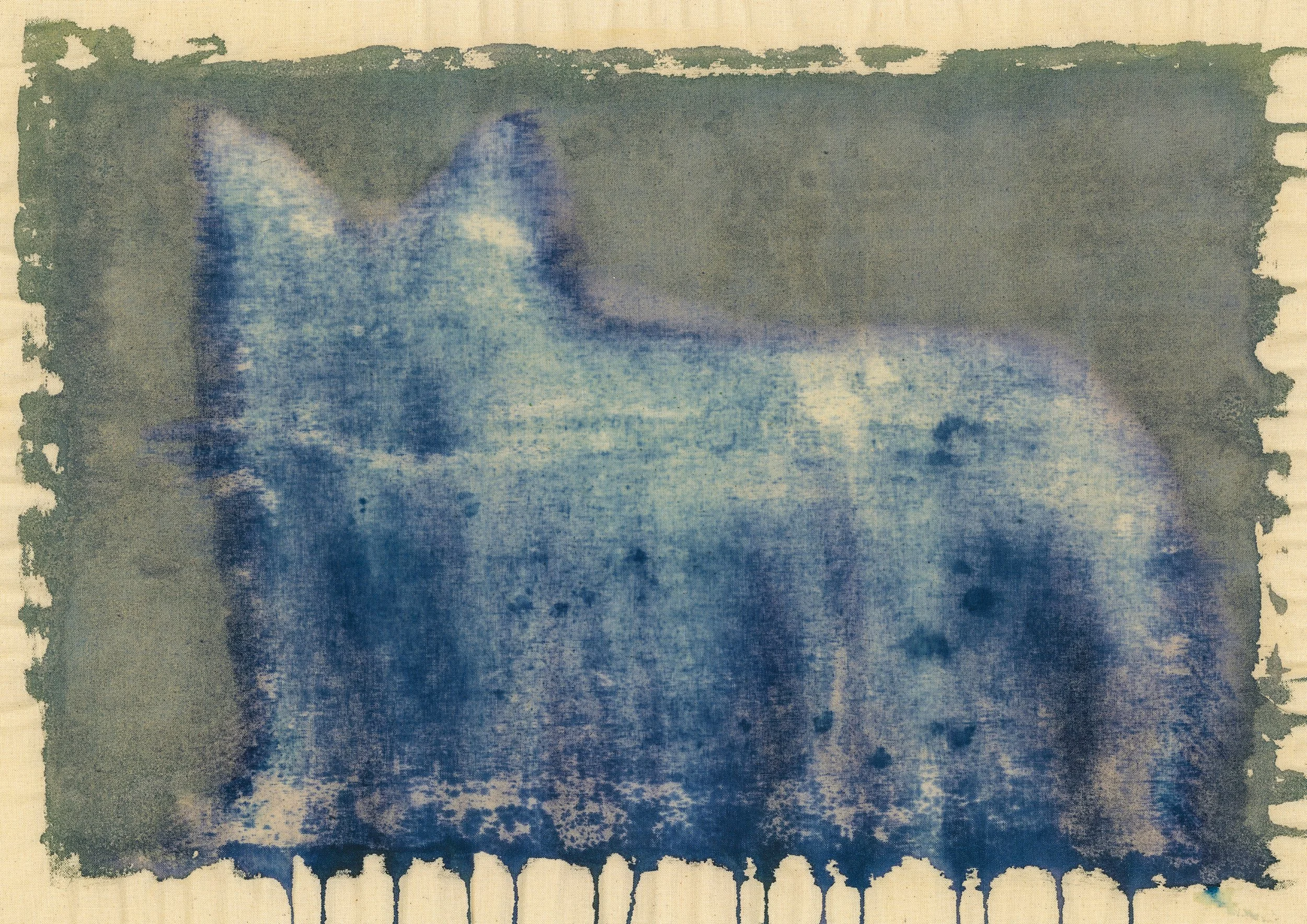 Mount Cato | cyanotype, 30x42cm, 2026