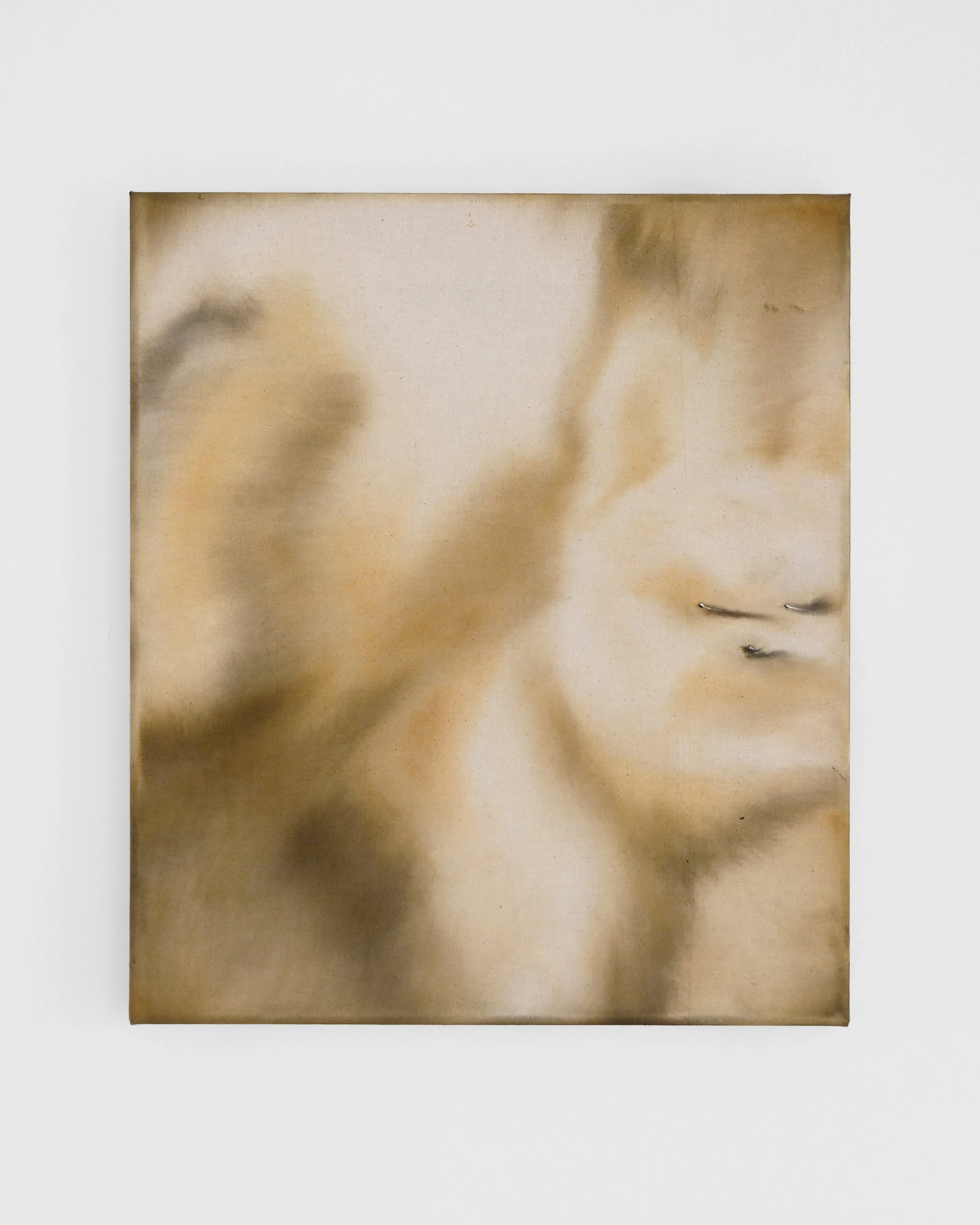 Dogspeed | acrylic on canvas, 40x35cm, 2026