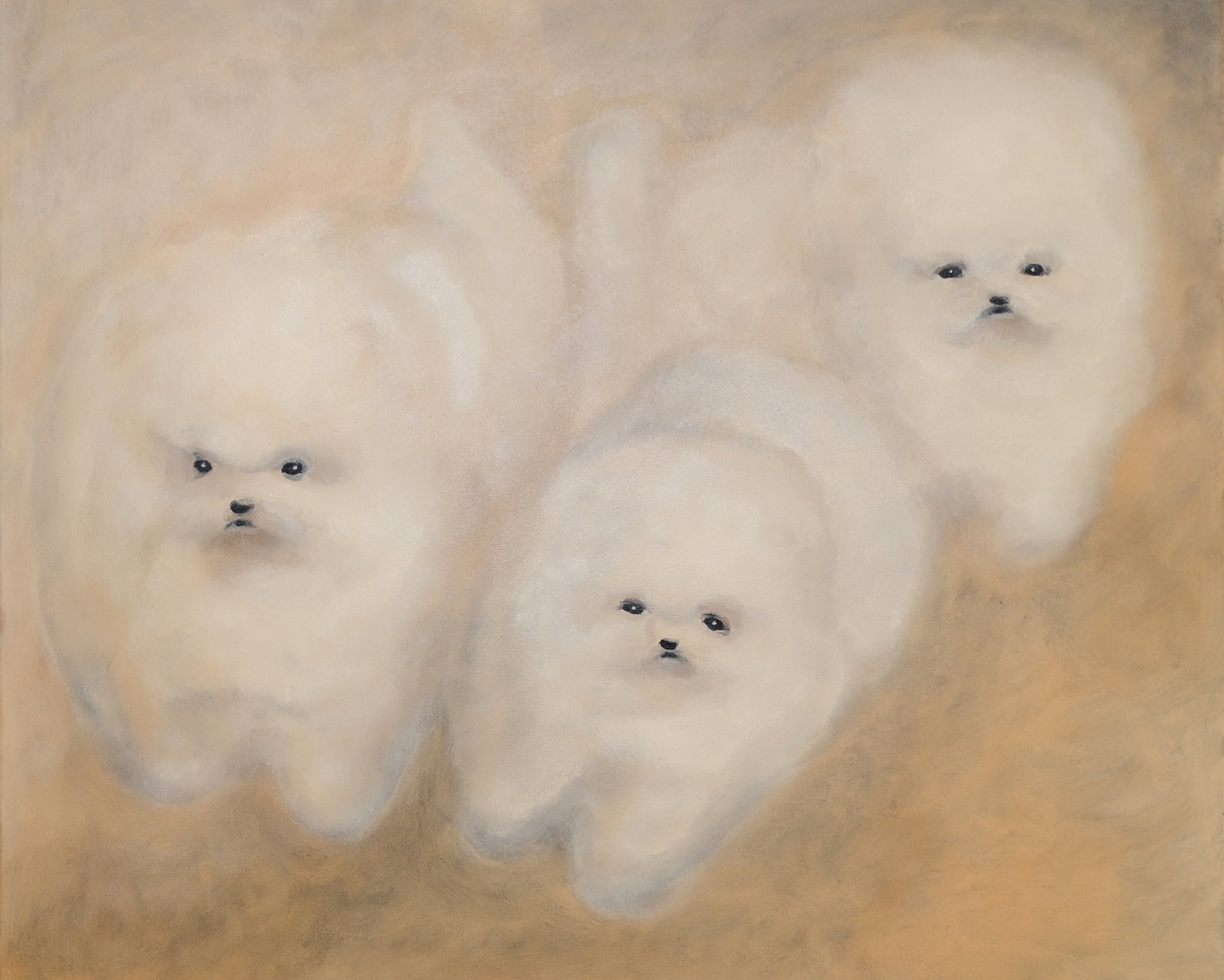 Pomenade | acrylic on canvas, 50x60cm, 2026