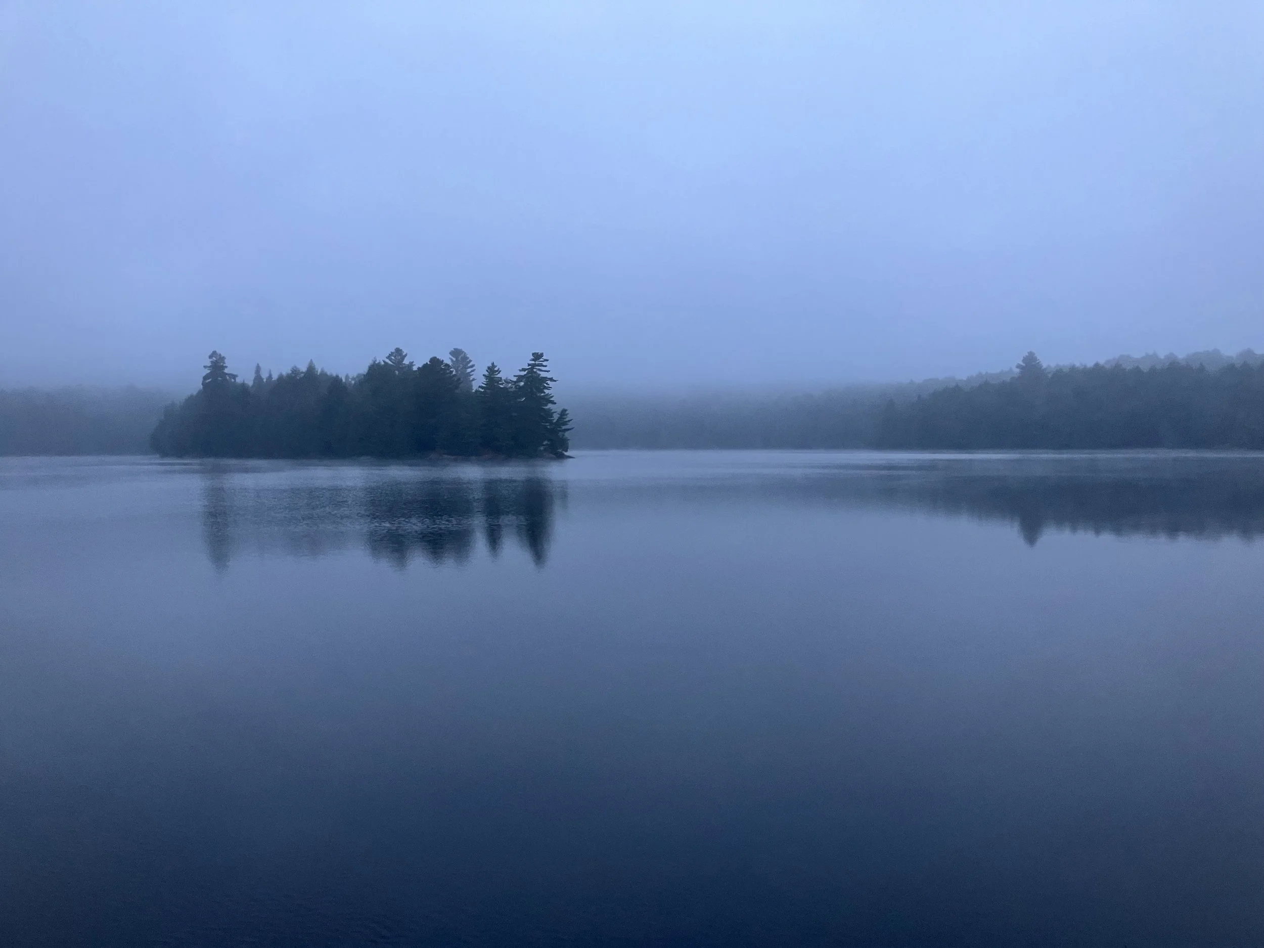 ATTUNED PRACTICE COMMUNITY