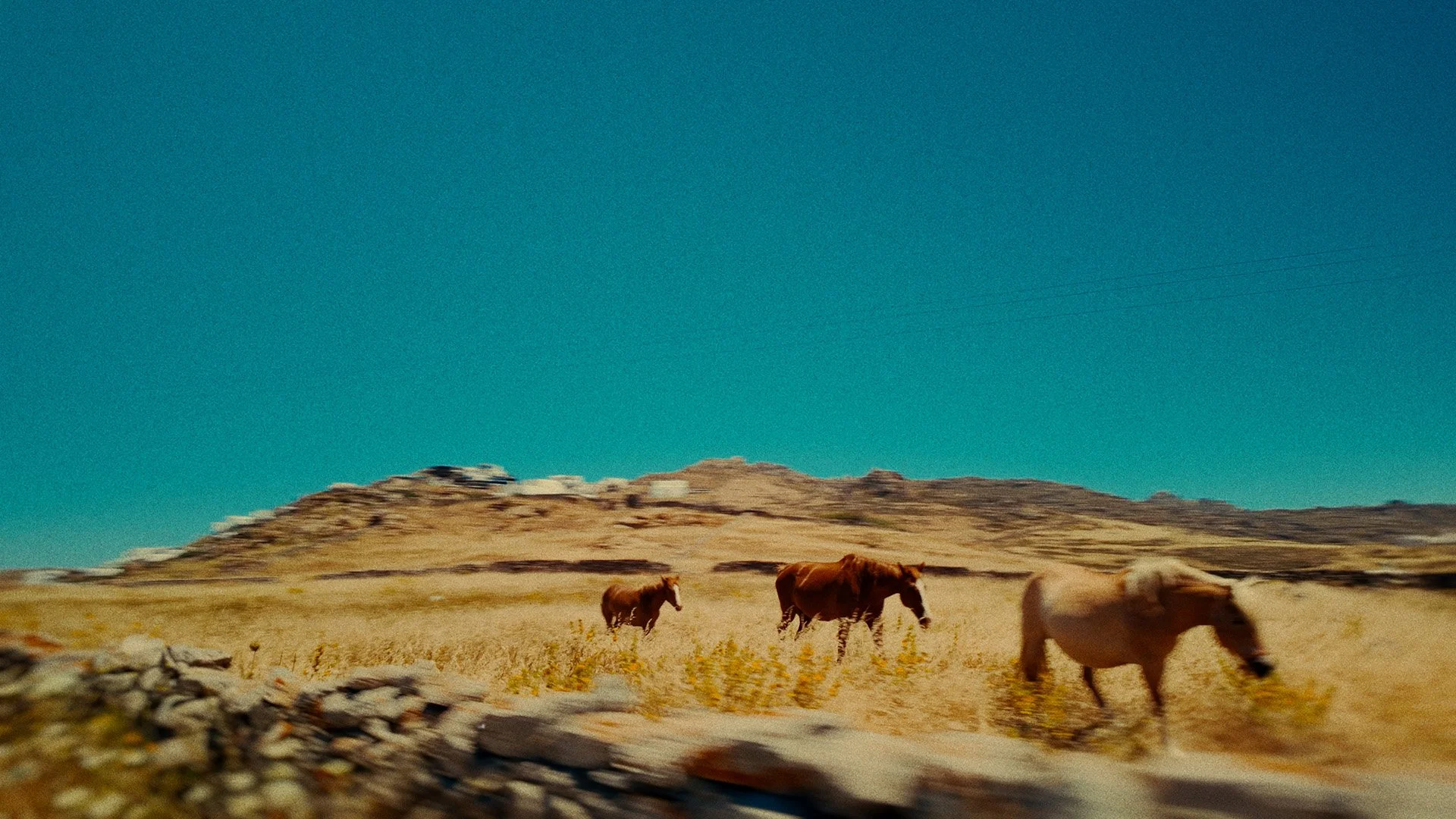 Cine-9.jpg