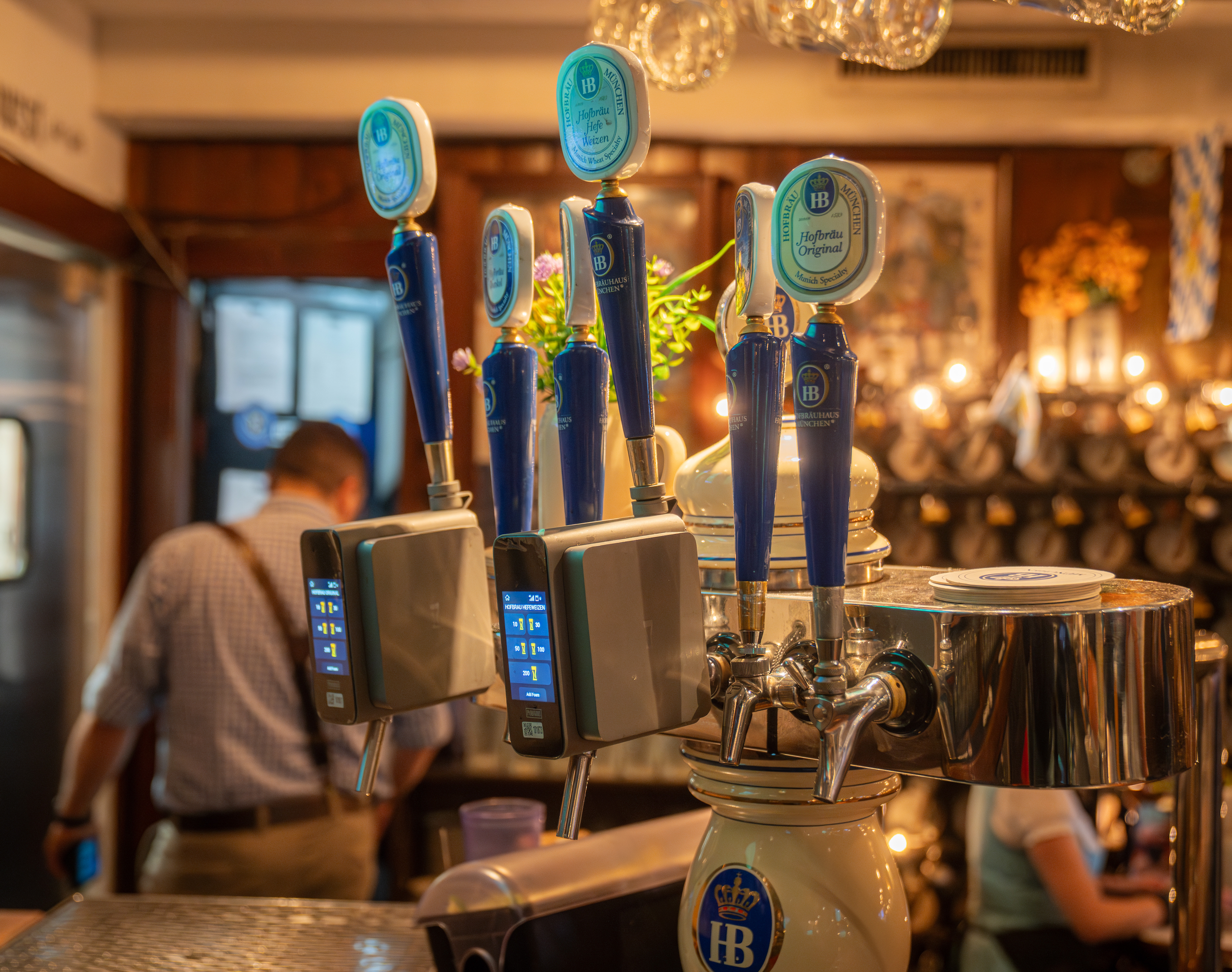 Beer taps on a counter in a cozy bar. The taps are labeled with the Hofbräu beer logo. The background features warmly lit decorations, including flowers and hats, and a person with short hair wearing a checkered shirt.