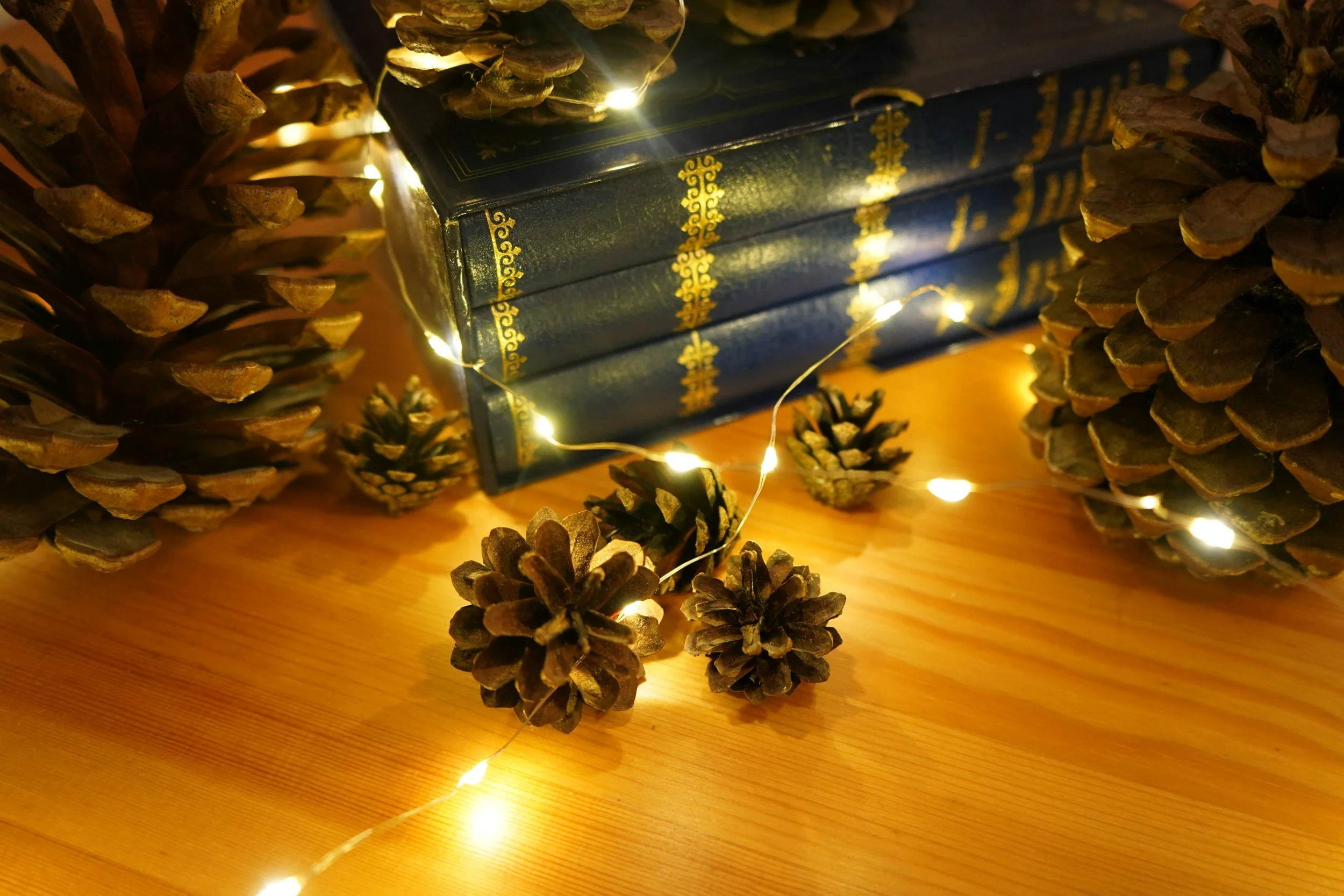 Contending For Your Eternal Soul Involves Unwavering Commitment To God's Principles, Even When The World Opposes. This Fight Strengthens Our Resolve And Deepens Our Relationship With Christ.