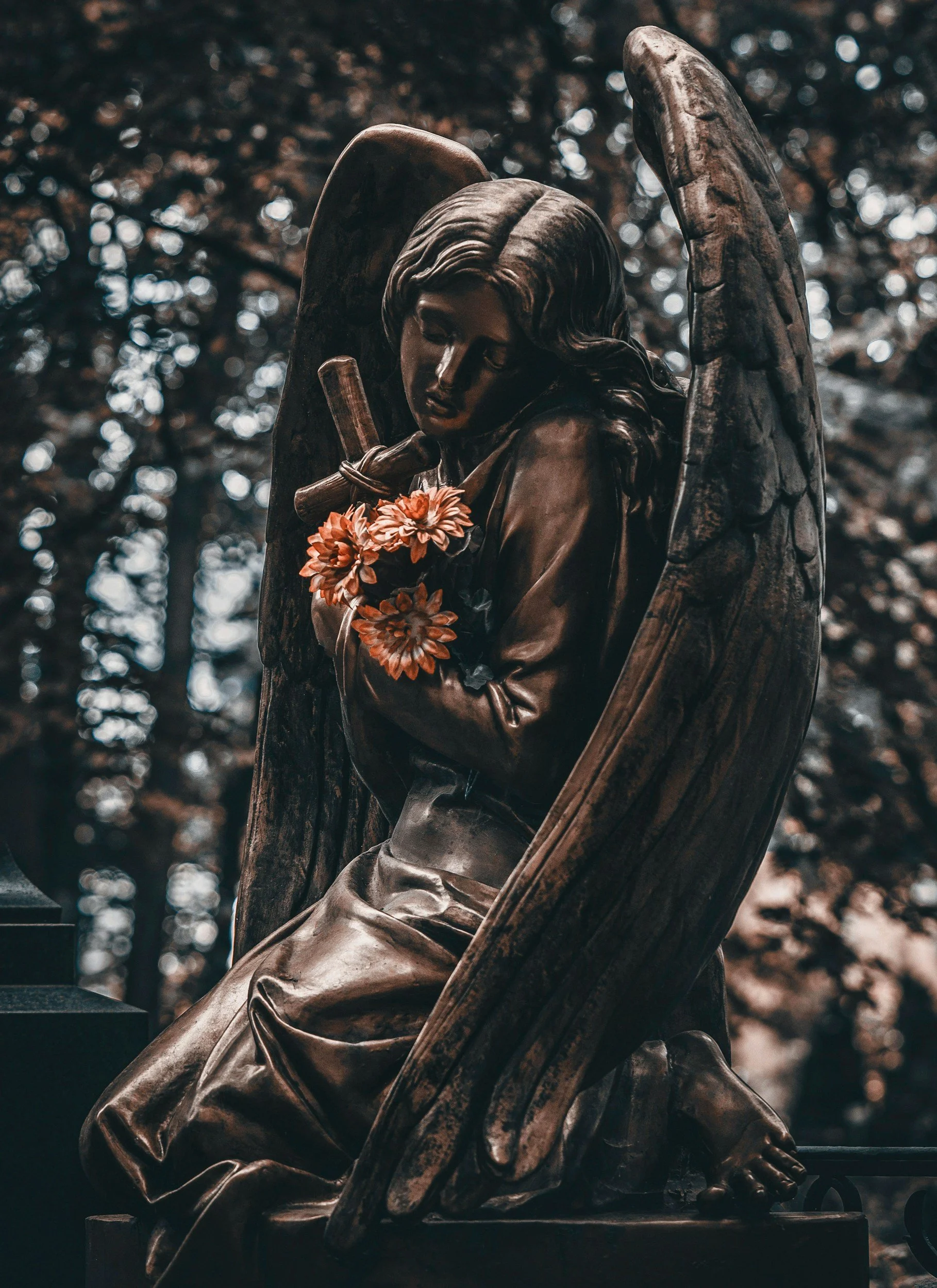 Witness The Journey Of Believers Who Rise From The Ashes Of Their Mistakes, Finding New Life And Purpose In The Embrace Of God's Unending Love. He Is Guiding Souls Into The Light Of Redemption.