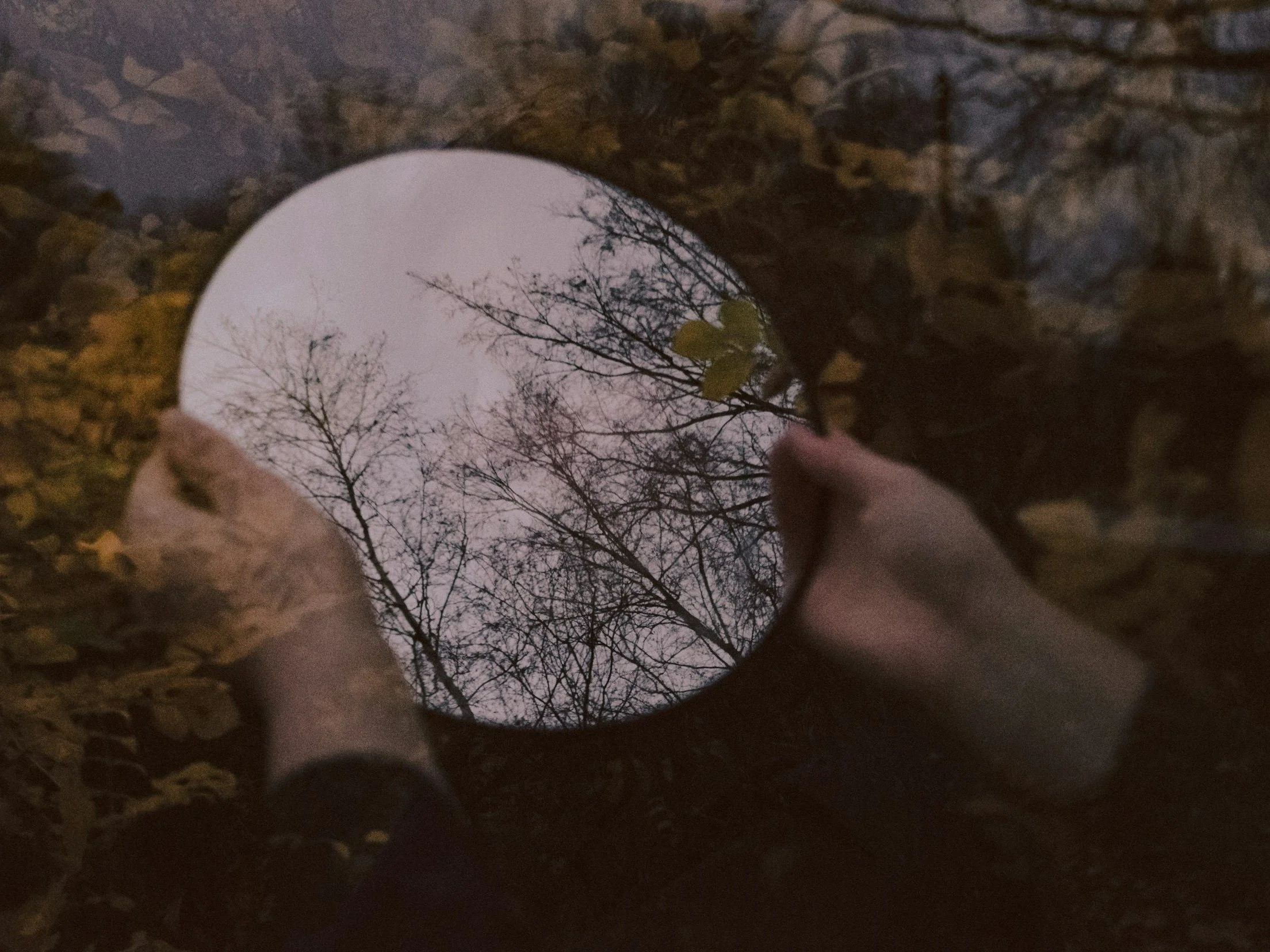 What The Flesh Satisfies In Seconds, It Burdens For Years. The Spirit Teaches Patience Because Eternal Fruit Is Worth The Wait. Choose Depth Over Impulse—Life Over Ruin.