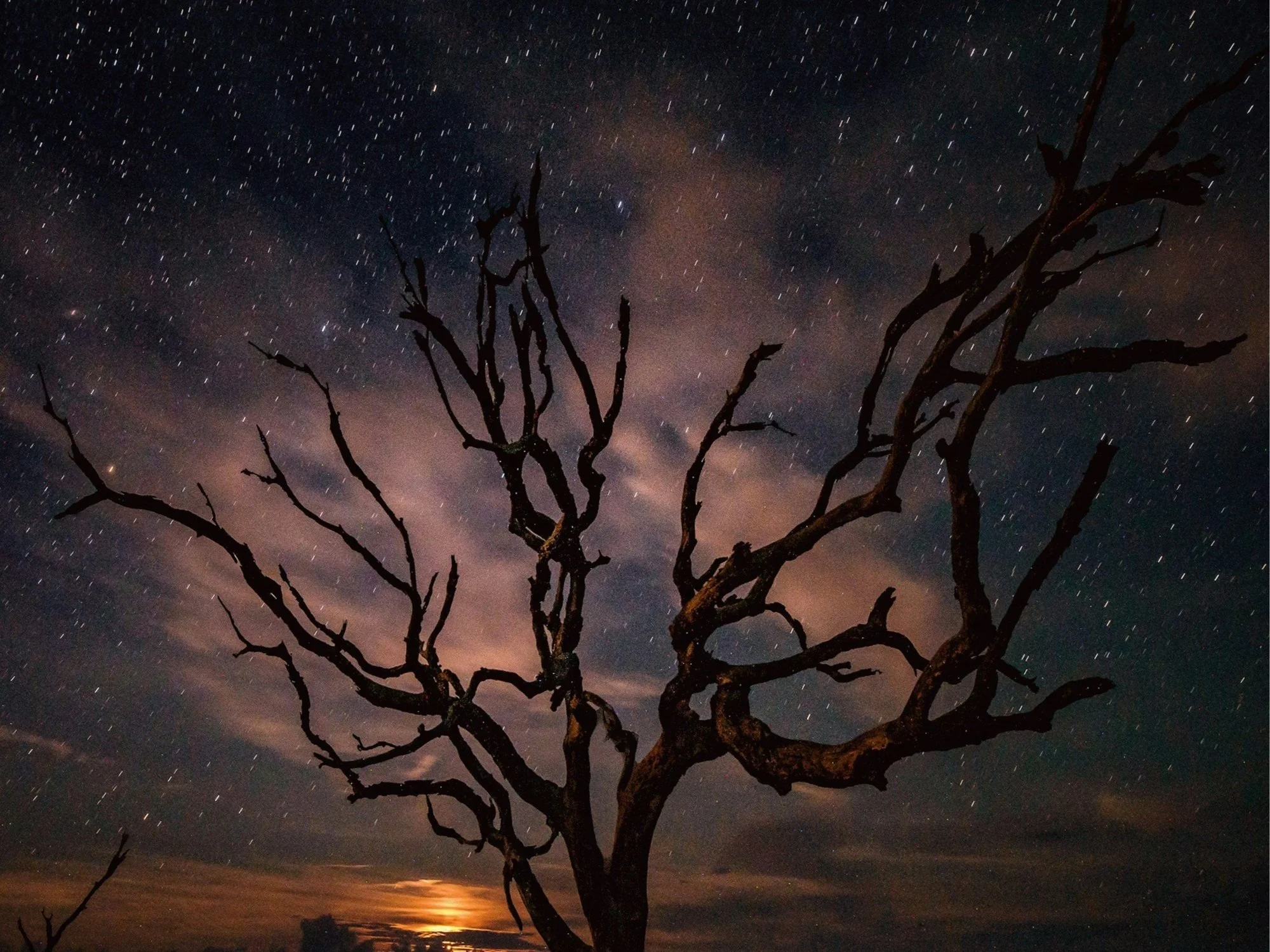 Our Purpose Is Not To Please People But To Trust God’s Promises. Though Your Name May Be Attacked, God Will Honor It Openly In His Time.