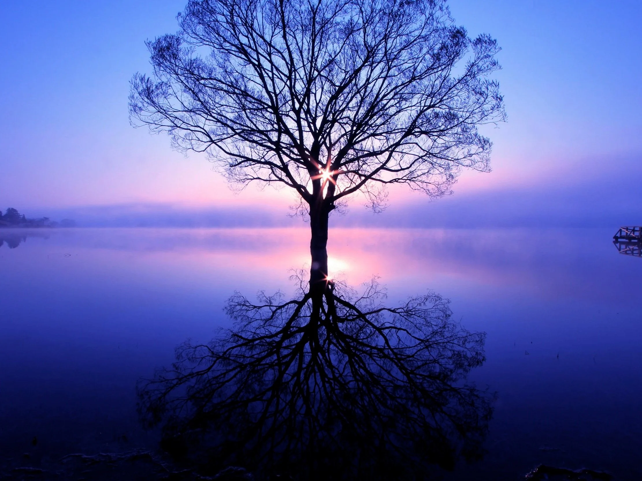 True Wealth Is A Renewed Mind In Christ. Take Every Thought Captive, Be Transformed By His Word, And Reject Double-Mindedness To Walk In Spiritual Strength.