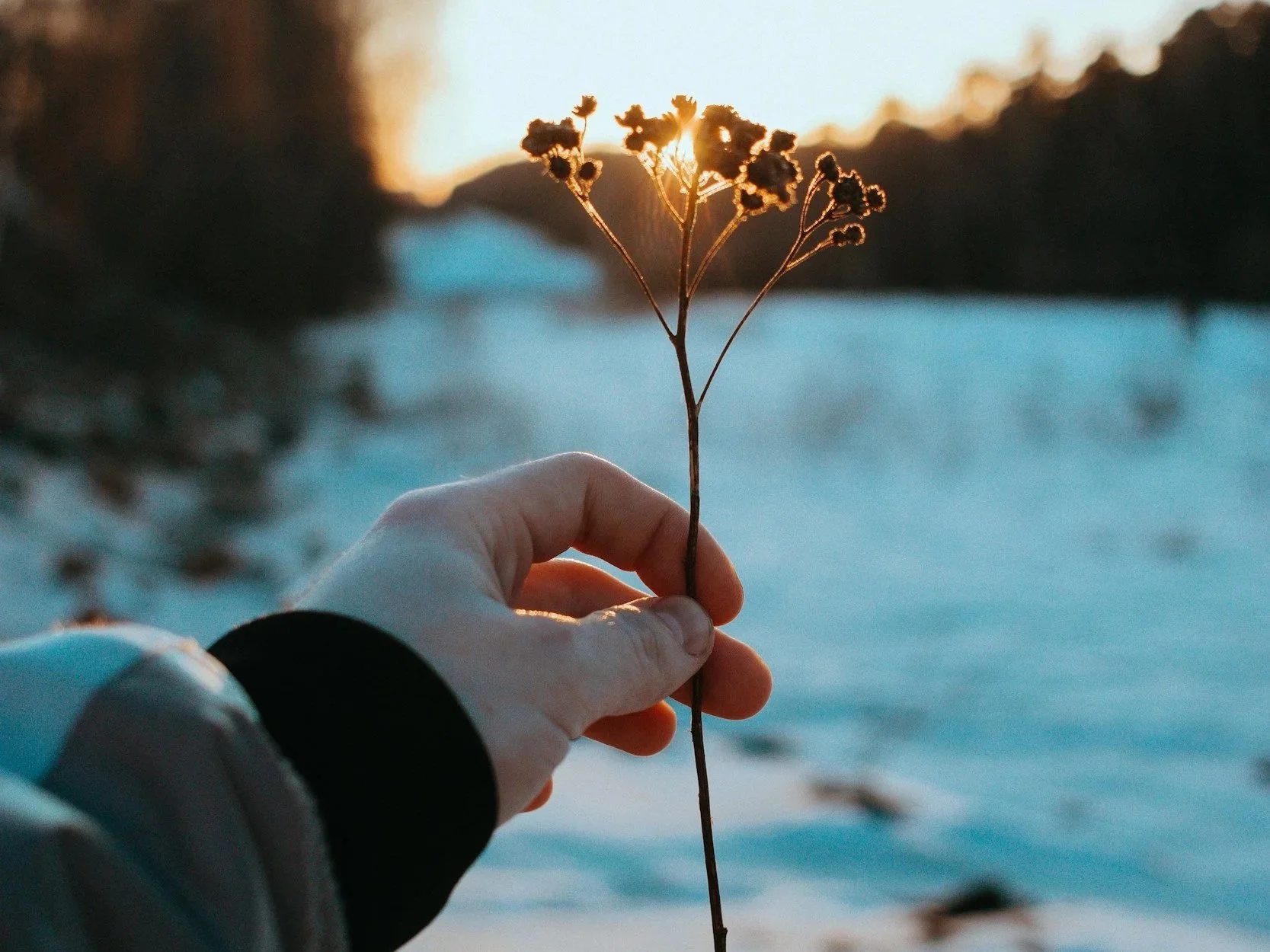 The Enemy Shames Where God Wants To Use You. Know Your True Opponent. With Spiritual Intelligence And A Surrendered Heart, God Restores All That Was Lost.