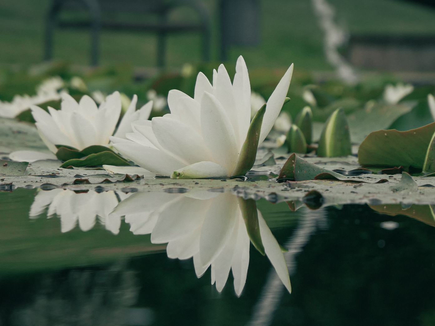 Worship Shifts Atmospheres—Chains Break, Storms Are Survived, And The Spirit Renews You. Sit Where Truth Is Spoken, Not Gossip, And Keep Your Heart Gentle.