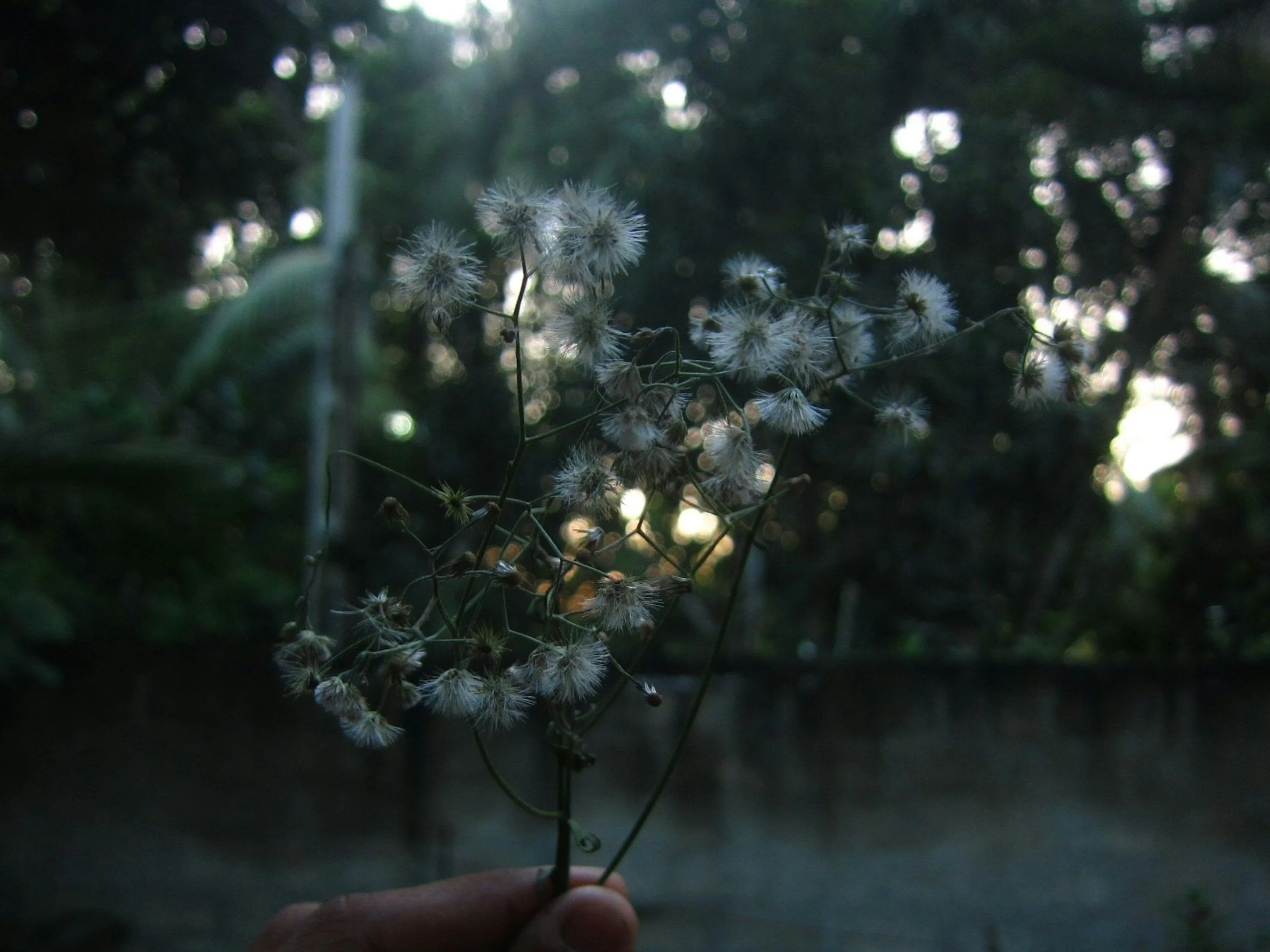 Stay Free From Toxic Cycles. Healing Sets You Apart. True Maturity Is Silence Over Reaction, And Godly Power Is Found In Peace, Not Conflict.