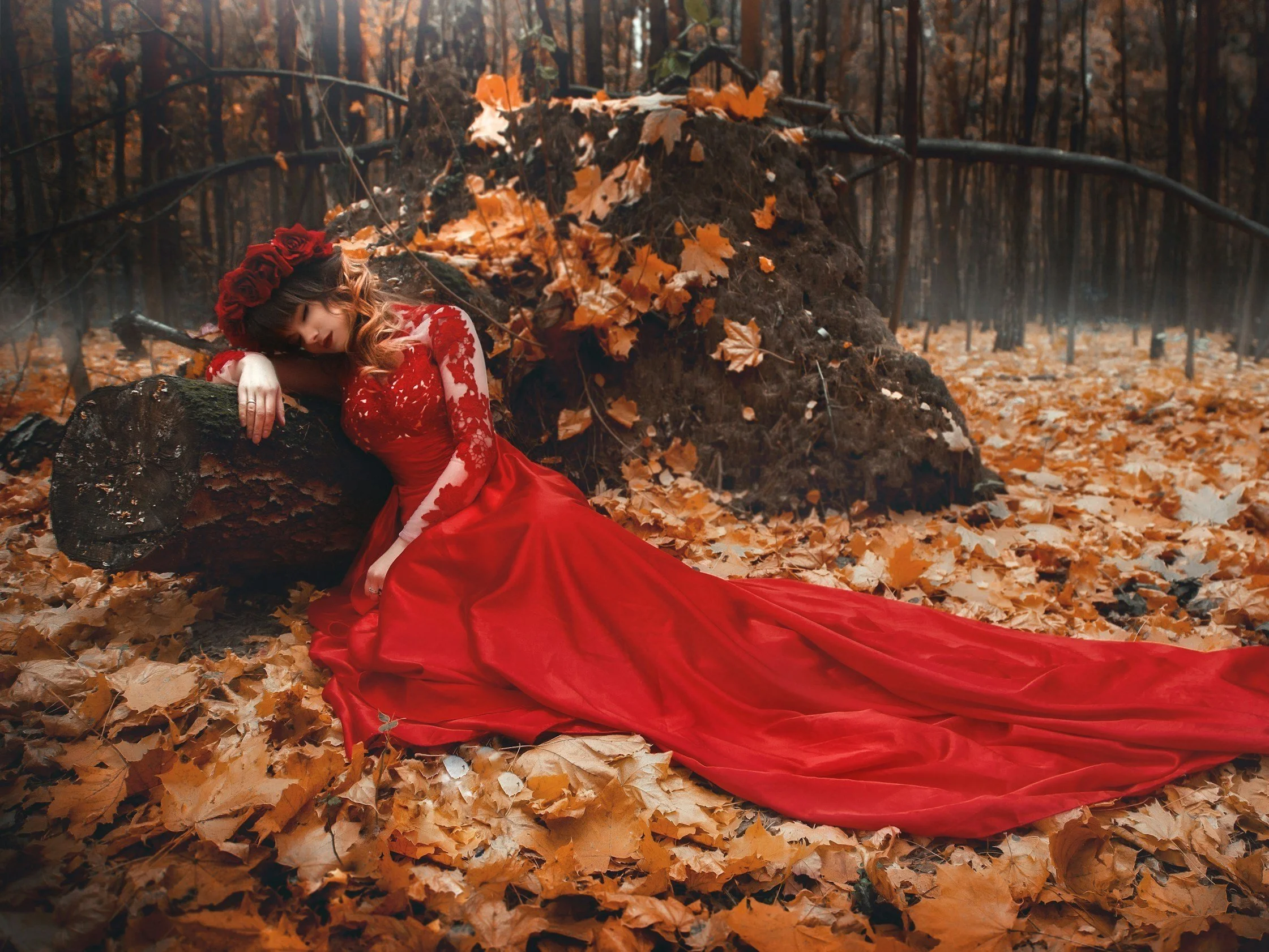 The Soul Finds Peace Only In Its Maker. Fix Your Focus On Christ — Where Surrender Becomes Strength And Grace Restores What Fear Has Broken.