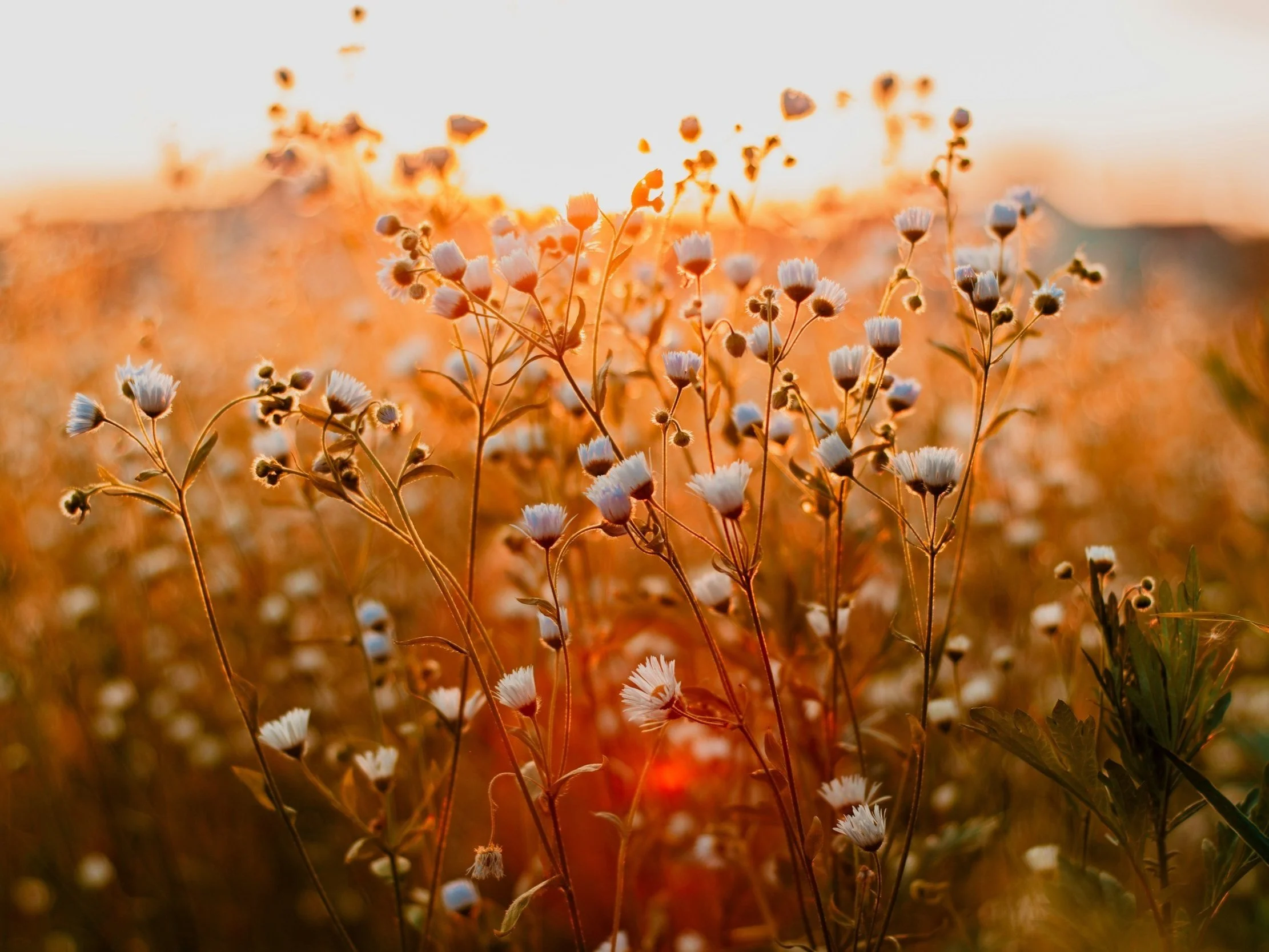 Every Disappointment Is Divine Direction. When God Closes Doors, He’s Not Punishing You — He’s Positioning You For Purpose.