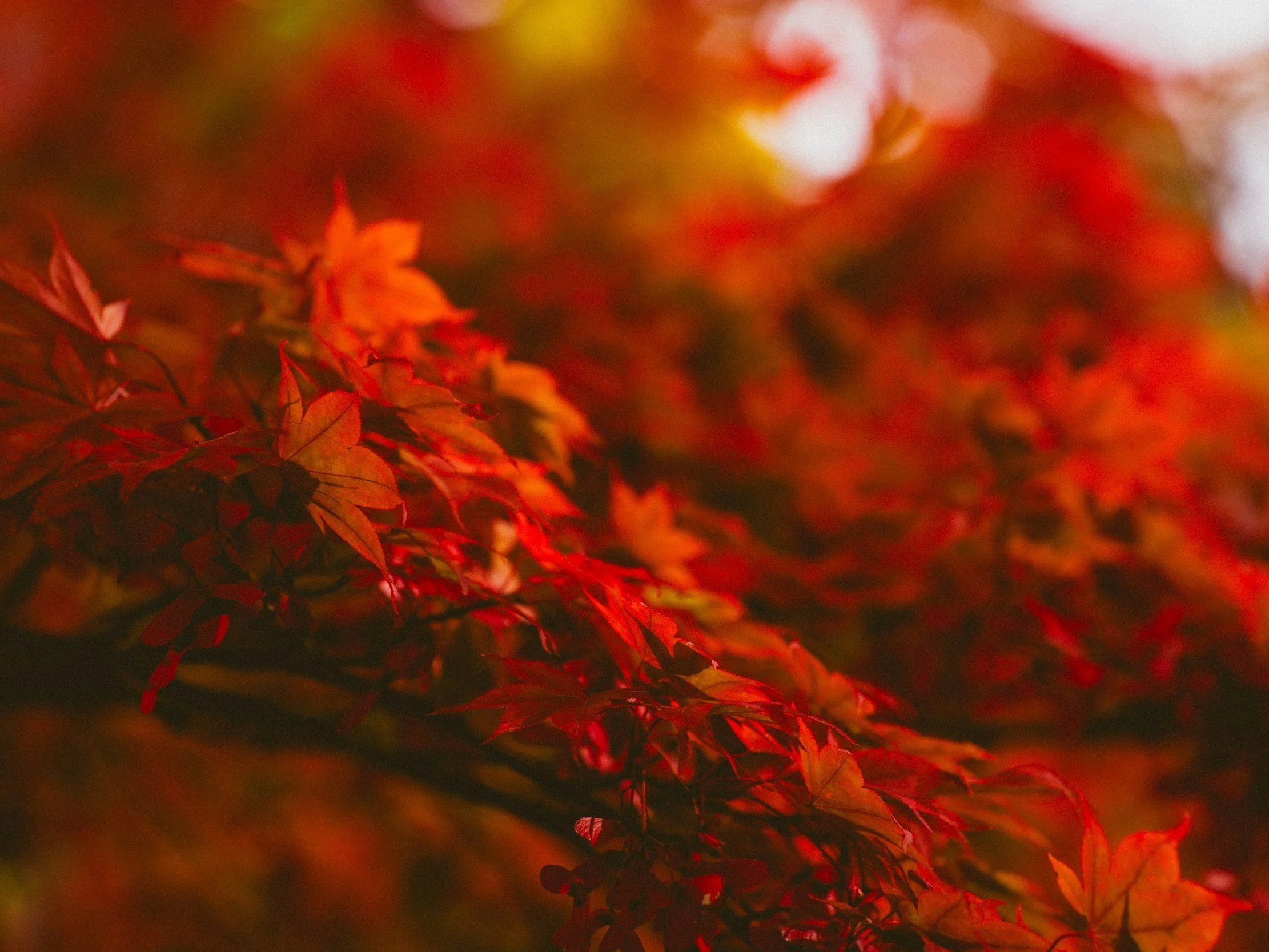 The Battles You Thought Would Break You Were The Very Ones That Trained You. What You Call Rejection, Heaven Calls Redirection.