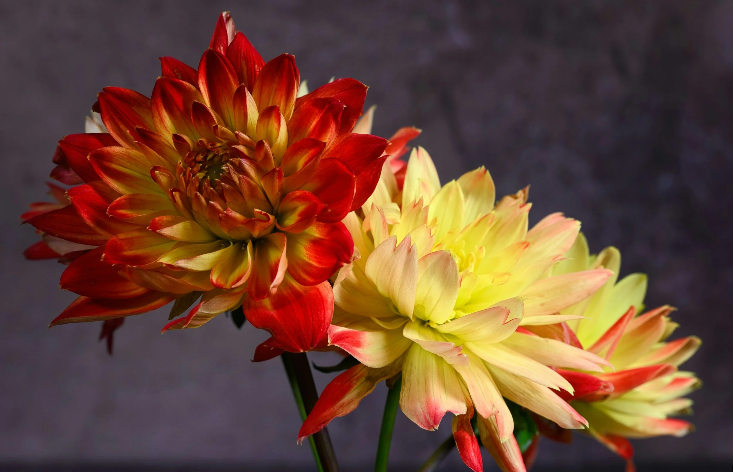 Grace Gathers What Pride Scatters. Let Failure Humble You, Not Haunt You — For Every Ending Becomes A Doorway When God Is Leading The Way.