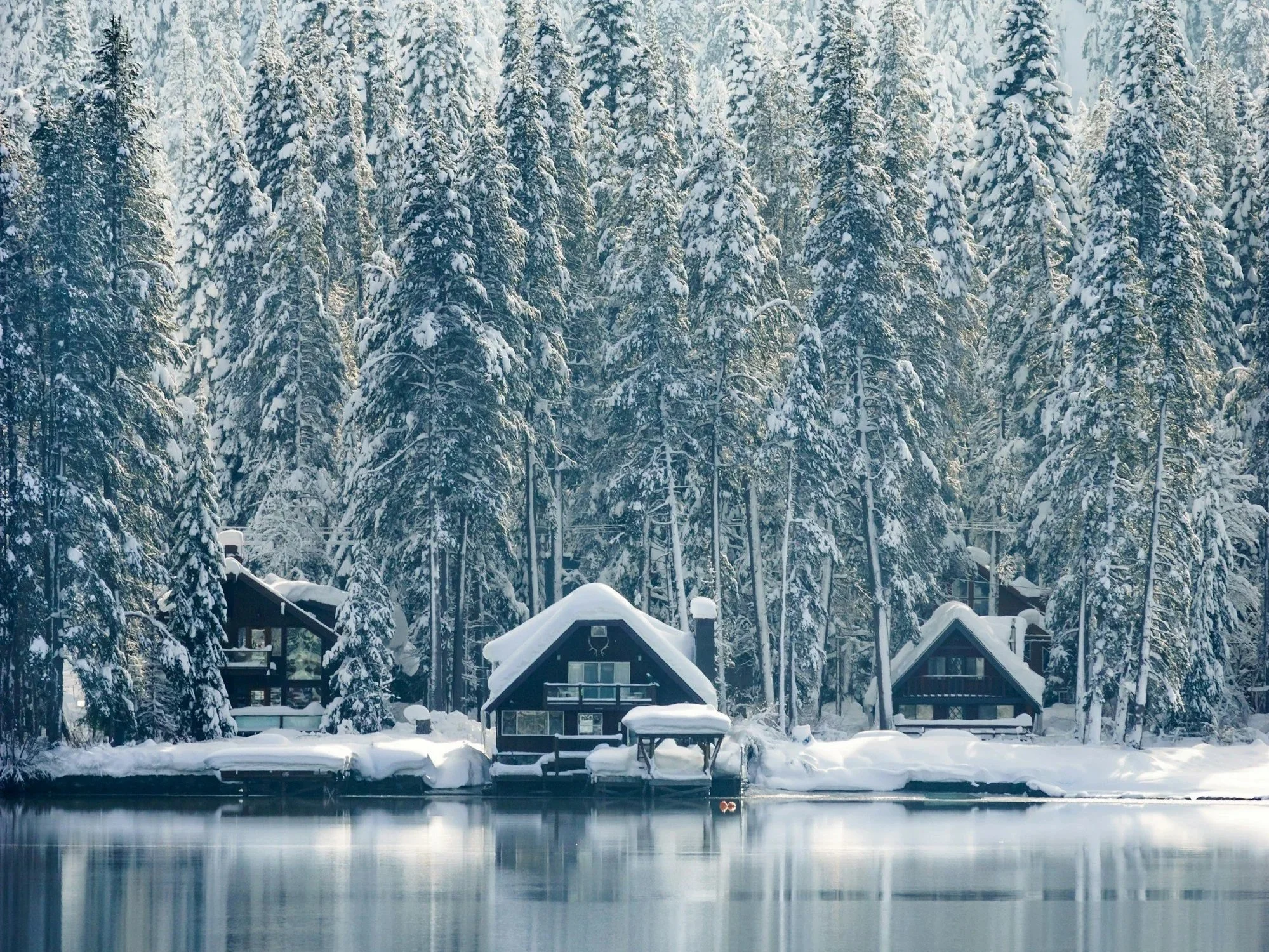 You Weren’t Created To Move Timidly — You Were Crafted To Move In God’s Power. When Fear Leaves The Driver’s Seat, The Anointing Takes The Wheel And Everything Shifts.